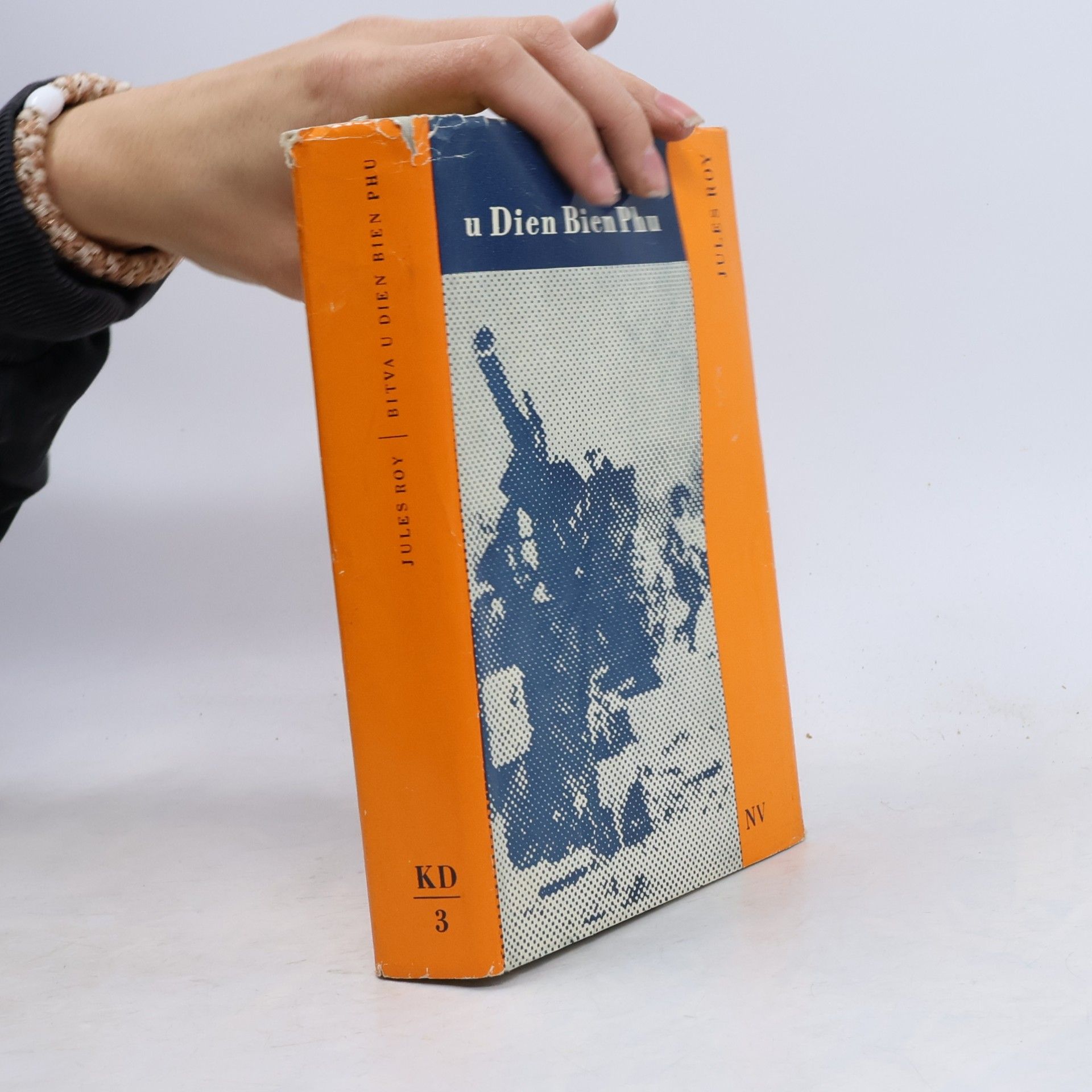 Bitva u Dien Bien Phu
