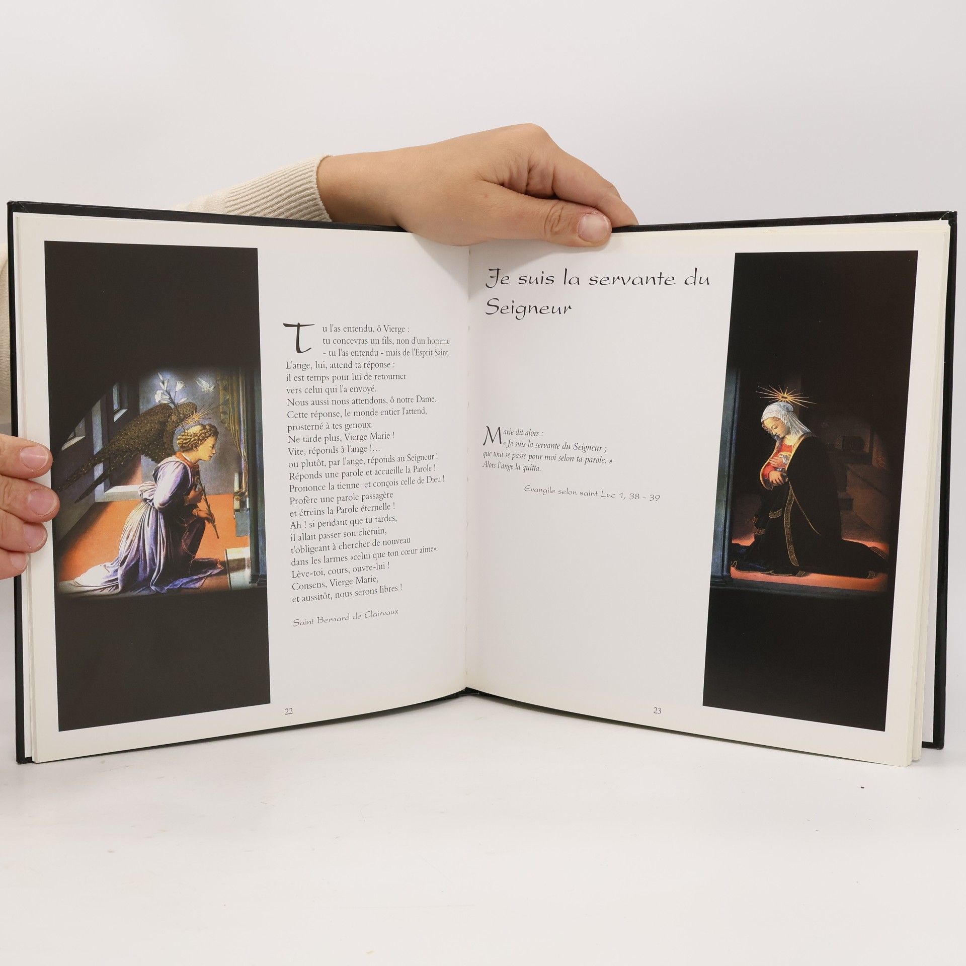 Sylvie Moser Le mystère de Noël raconté par les plus grands chefs-d'œuvre de l'art