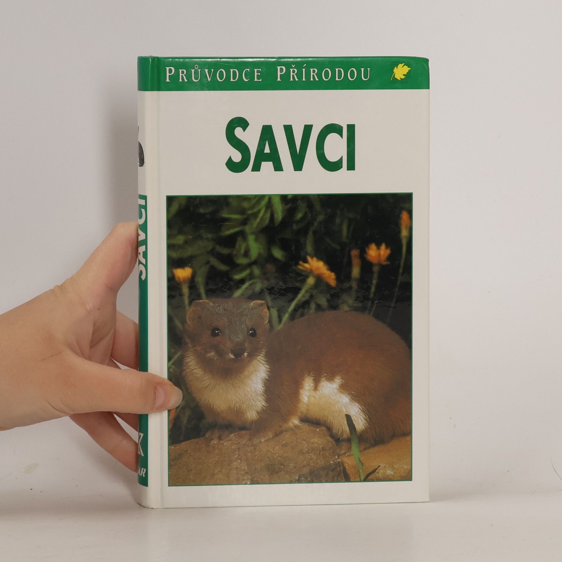 Savci