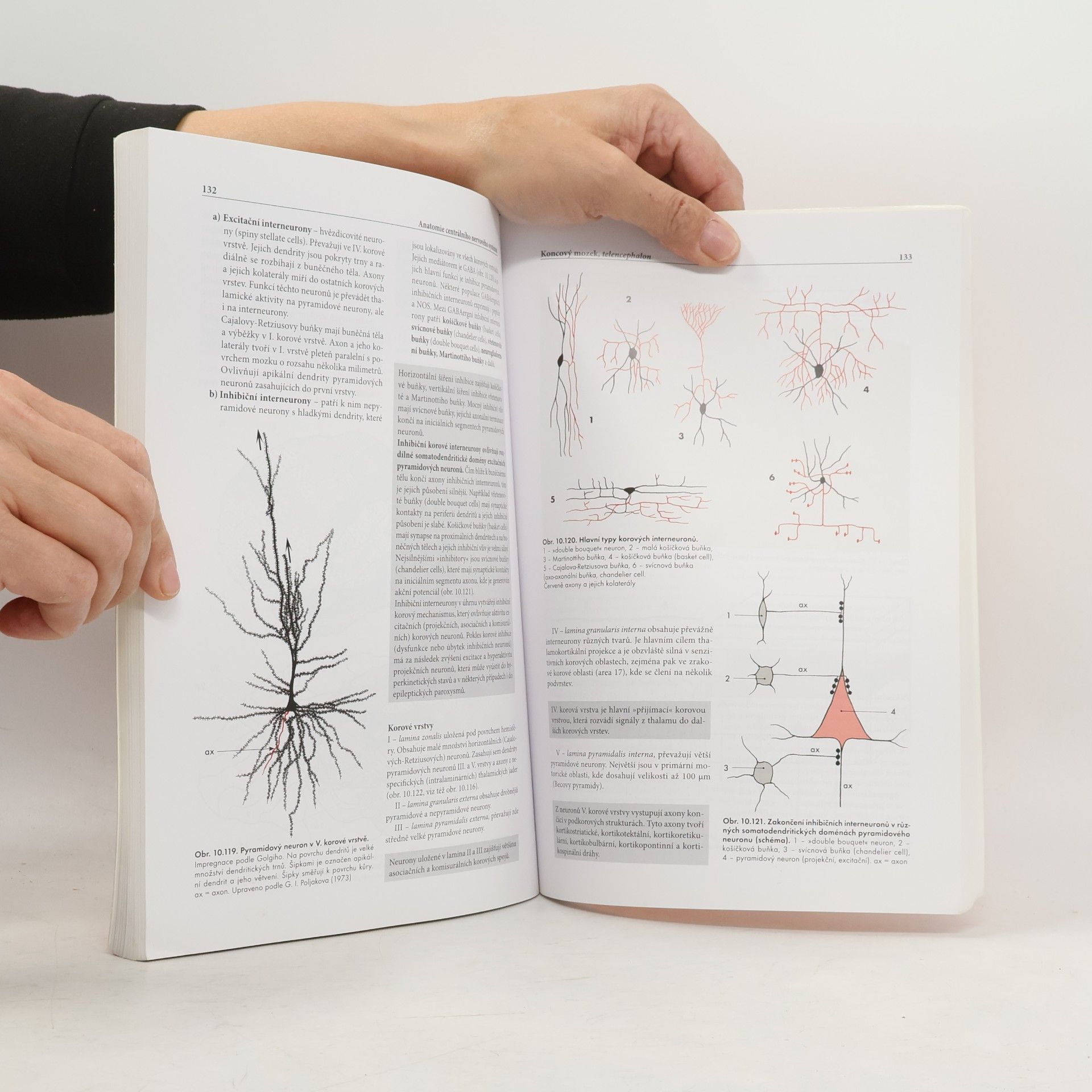 Miloš Grim Základy anatomie. 4a., Centrální nervový systém