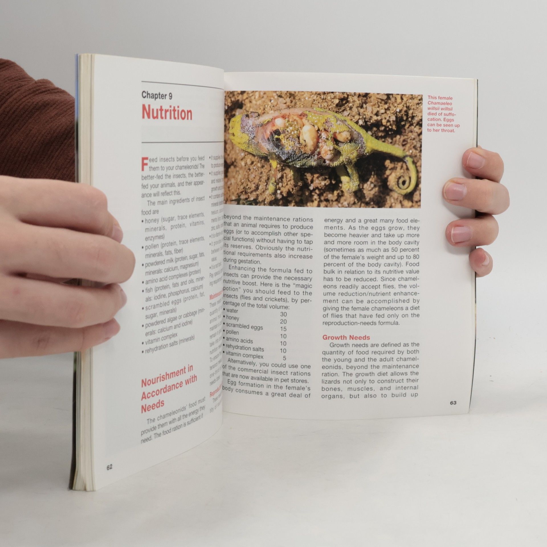 François Le Berre The New Chameleon Handbook