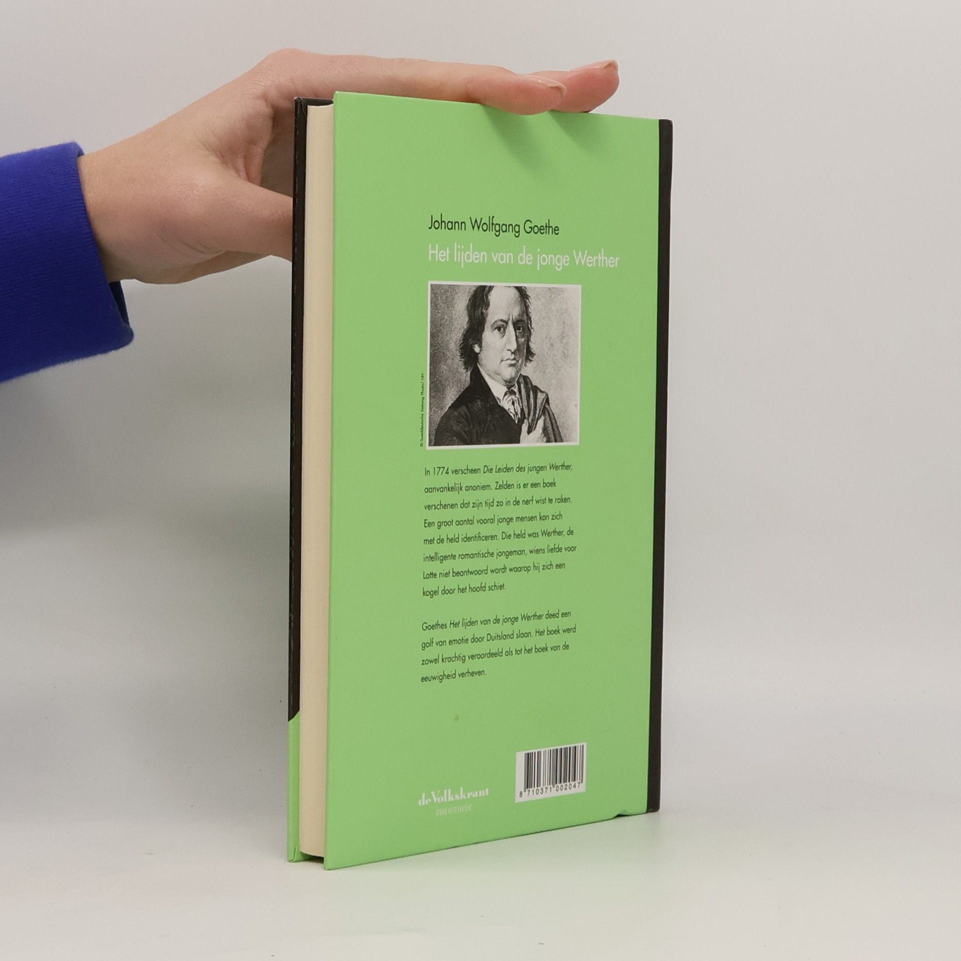 Johann Wolfgang von Goethe Het lijden van de jonge Werther