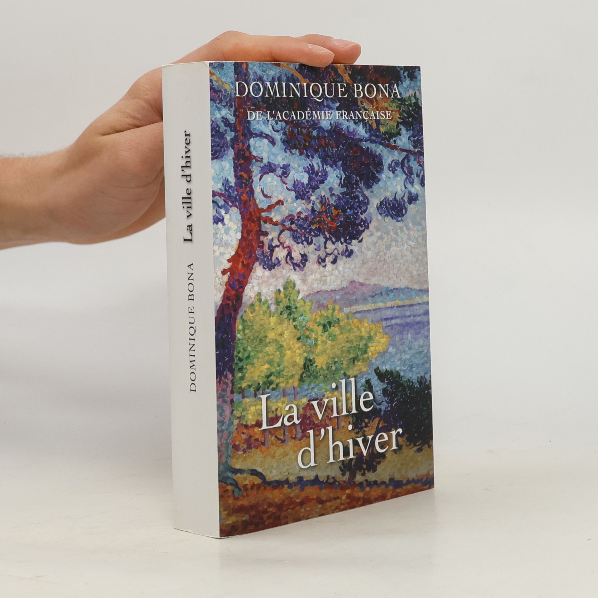 La ville d'hiver