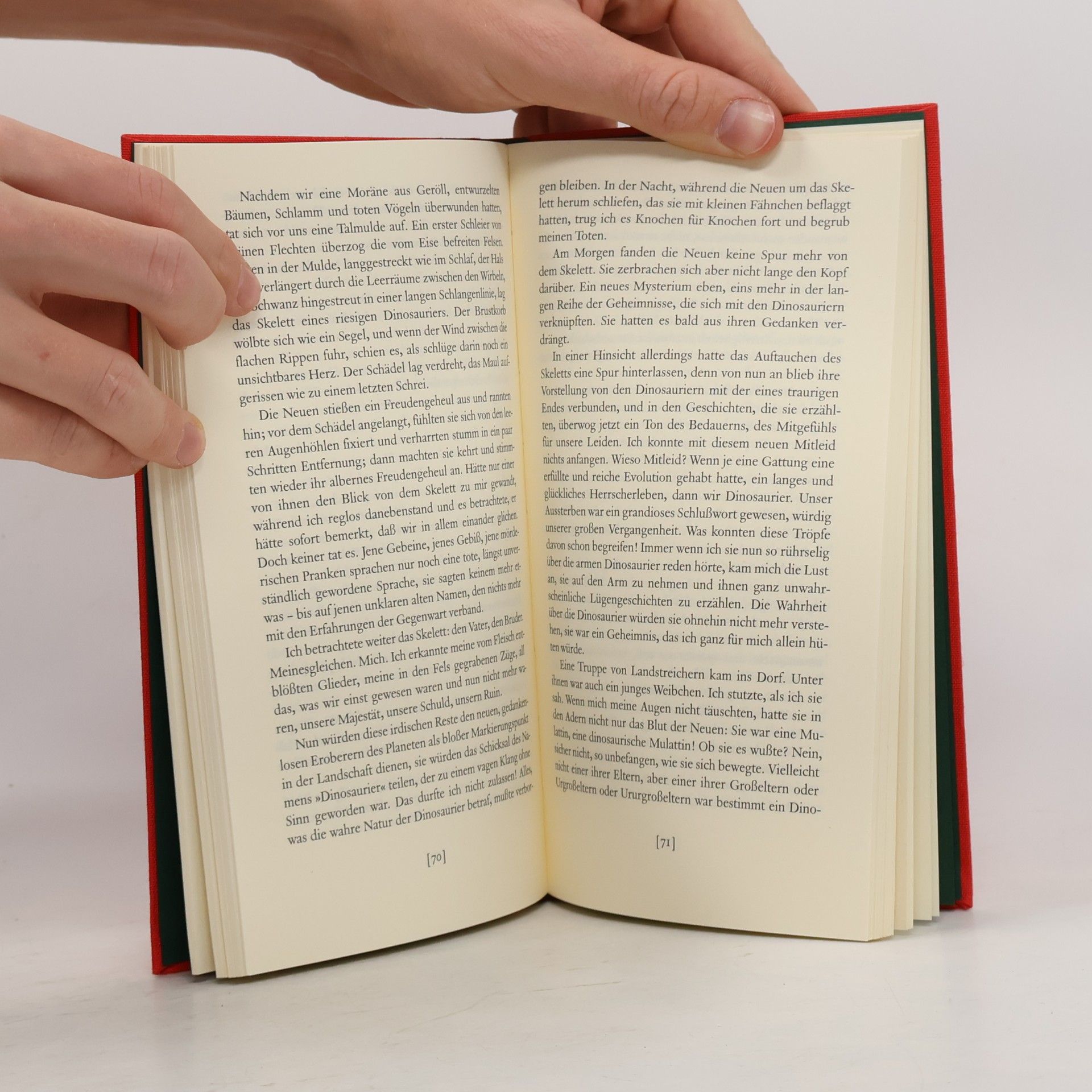 Italo Calvino Der verzauberte Garten
