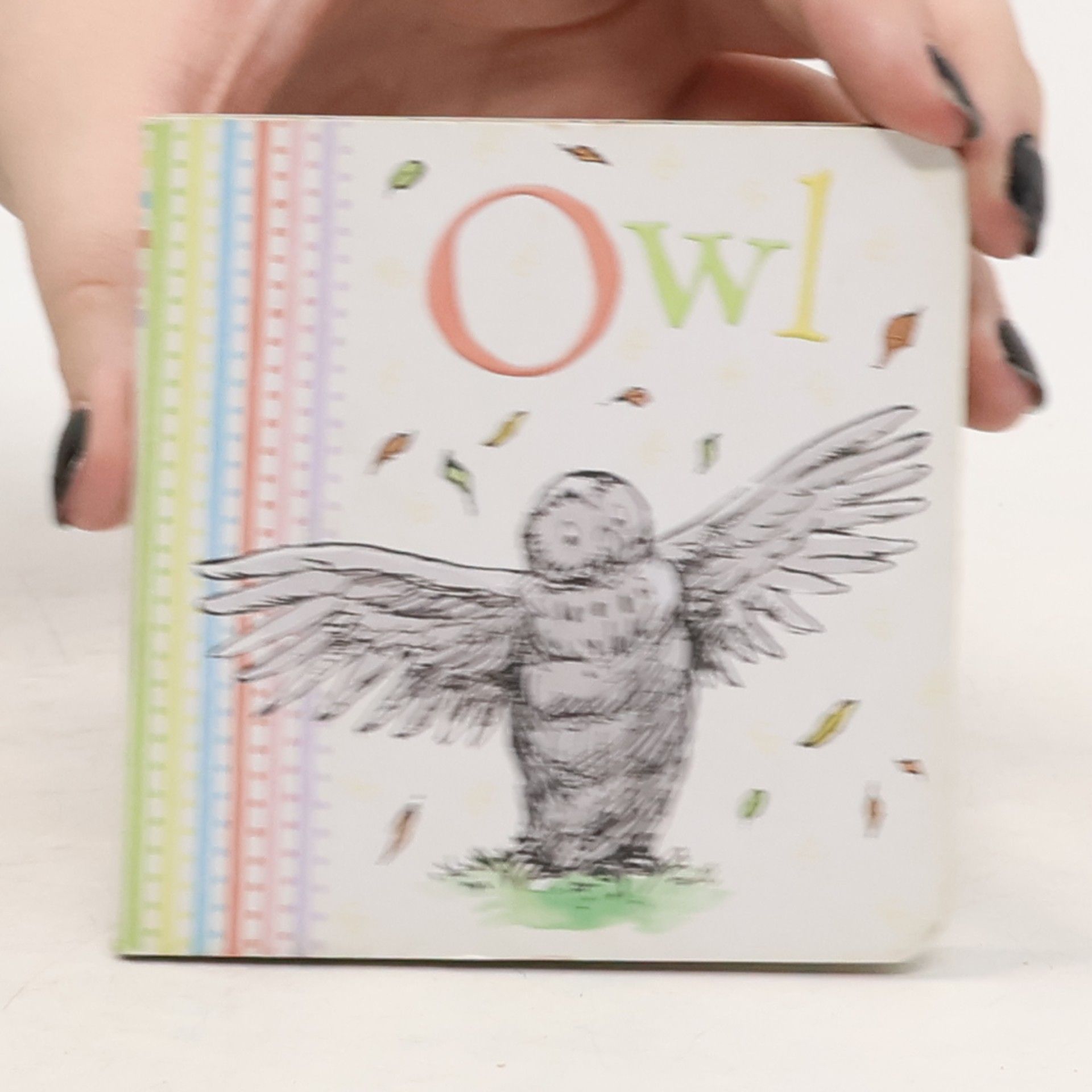 Various authors Owl