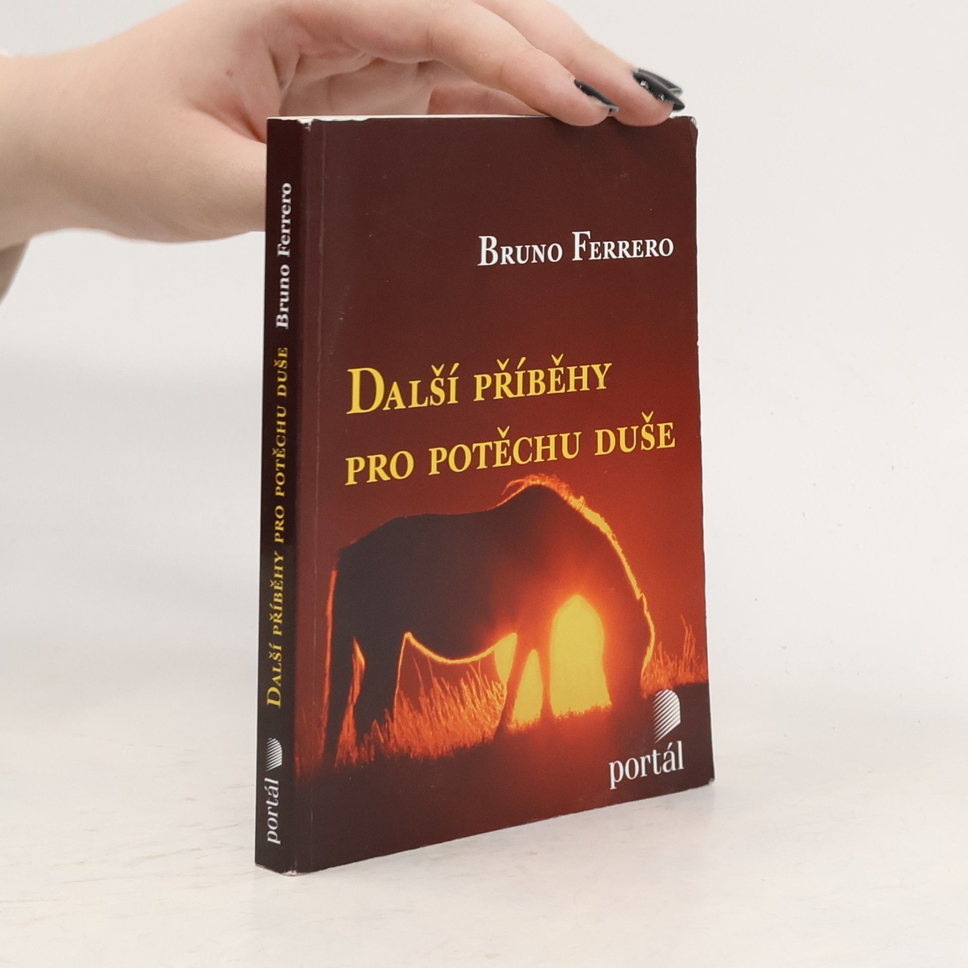 Další příběhy pro potěchu duše