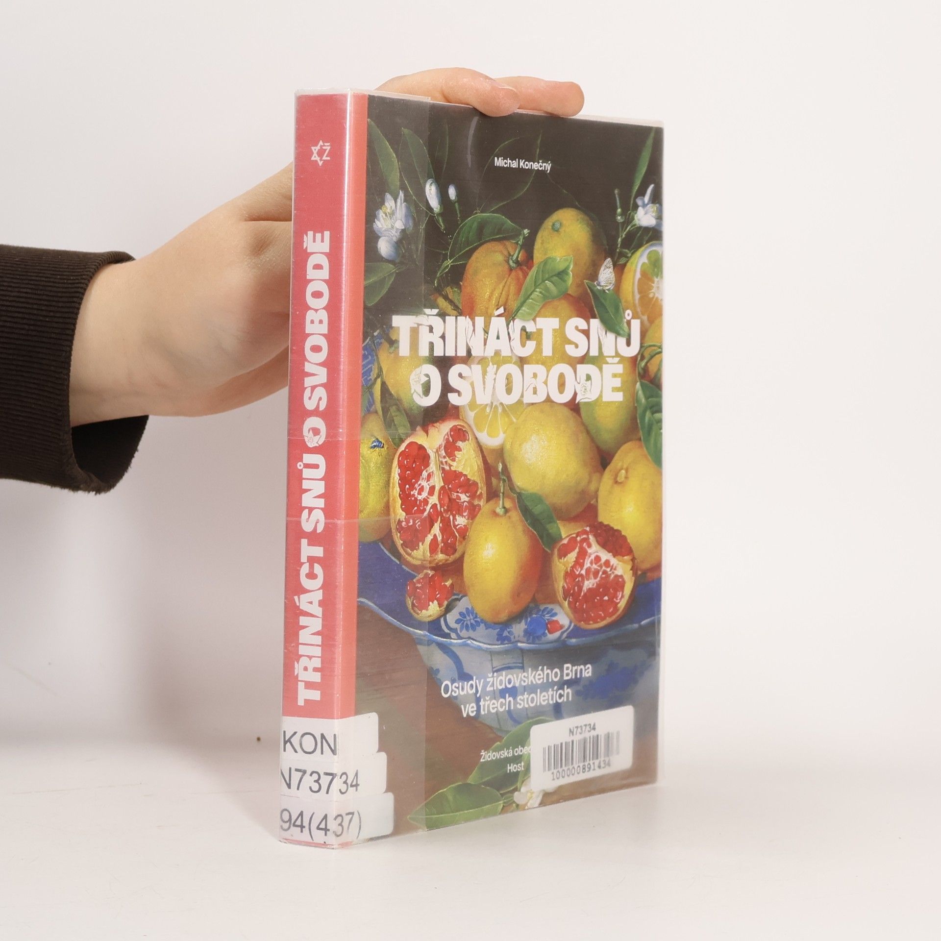Třináct snů o svobodě : osudy židovského Brna ve třech stoletích