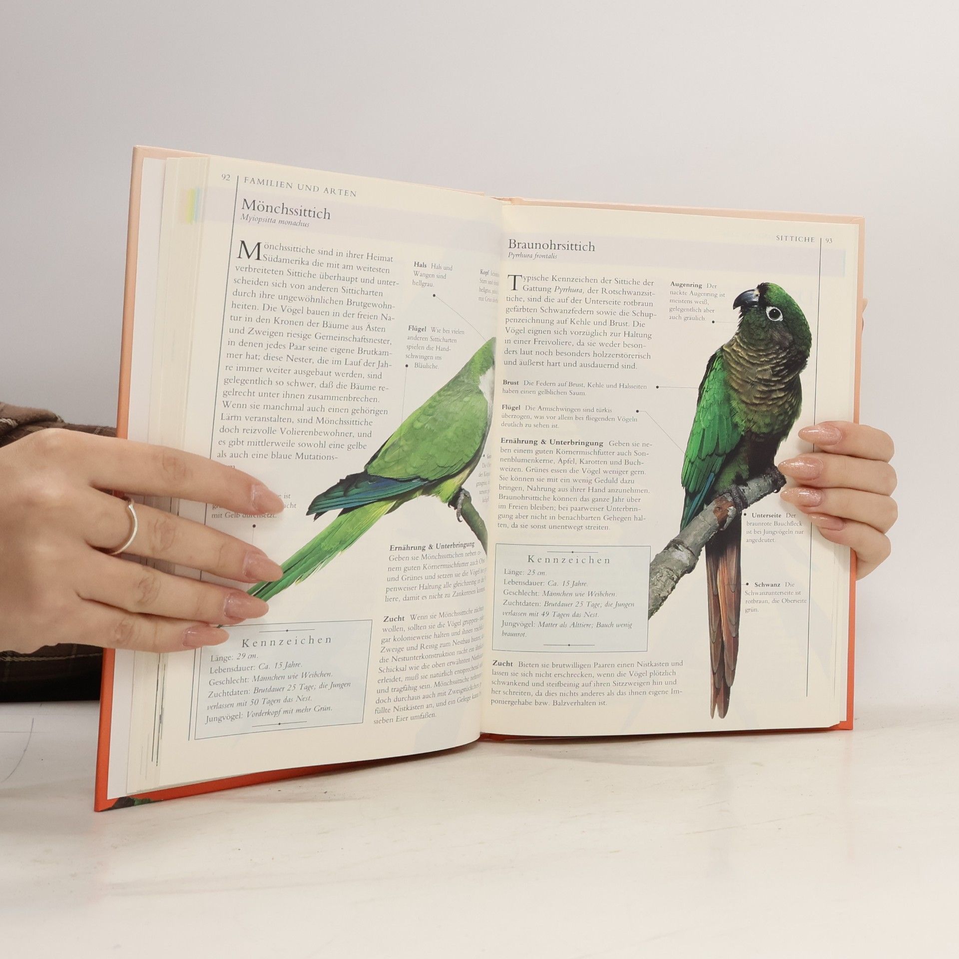 David Alderton Meine Vögel für Voliere und Käfig