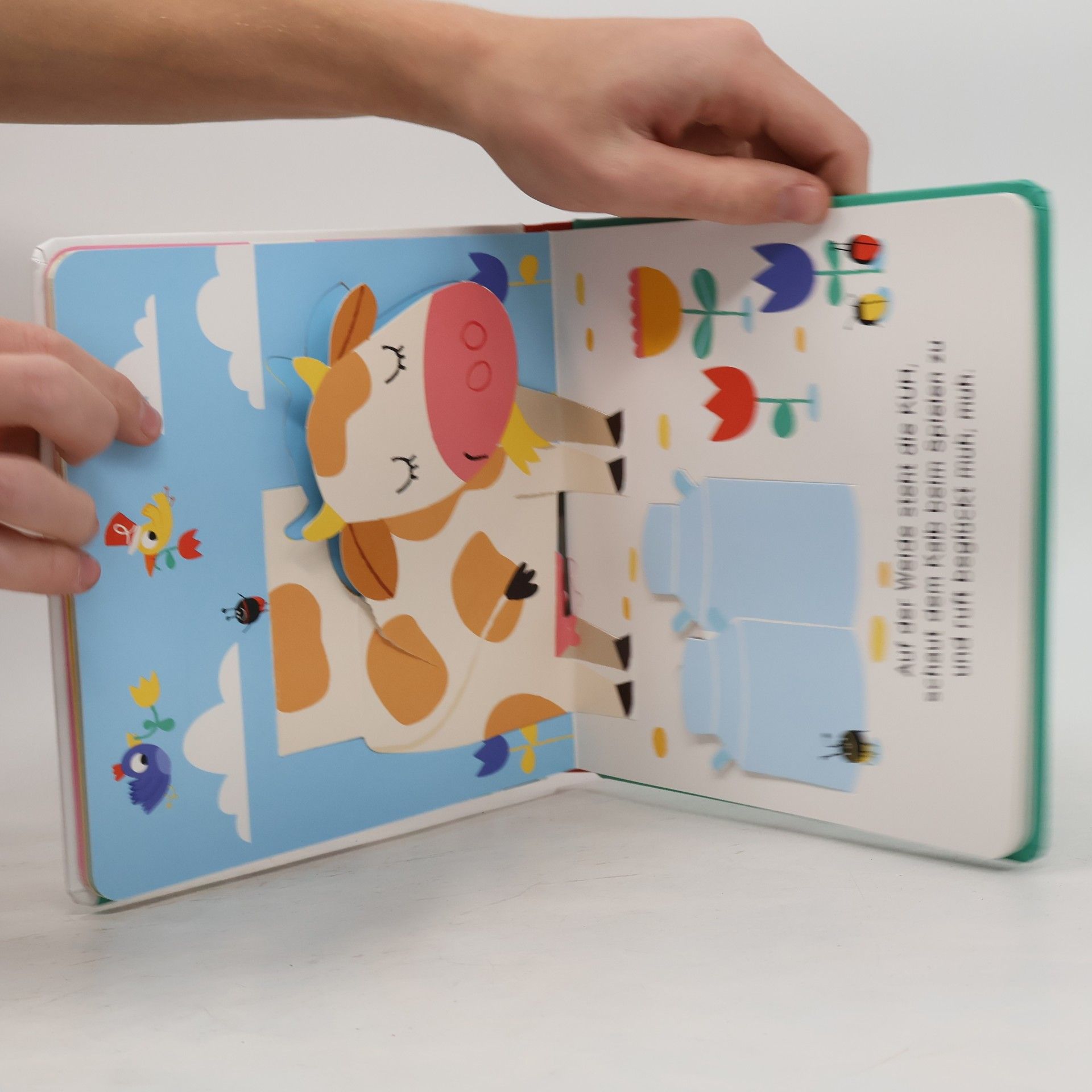 kolektiv Mein fantastisches Pop-Up-Buch - Bauernhoftiere