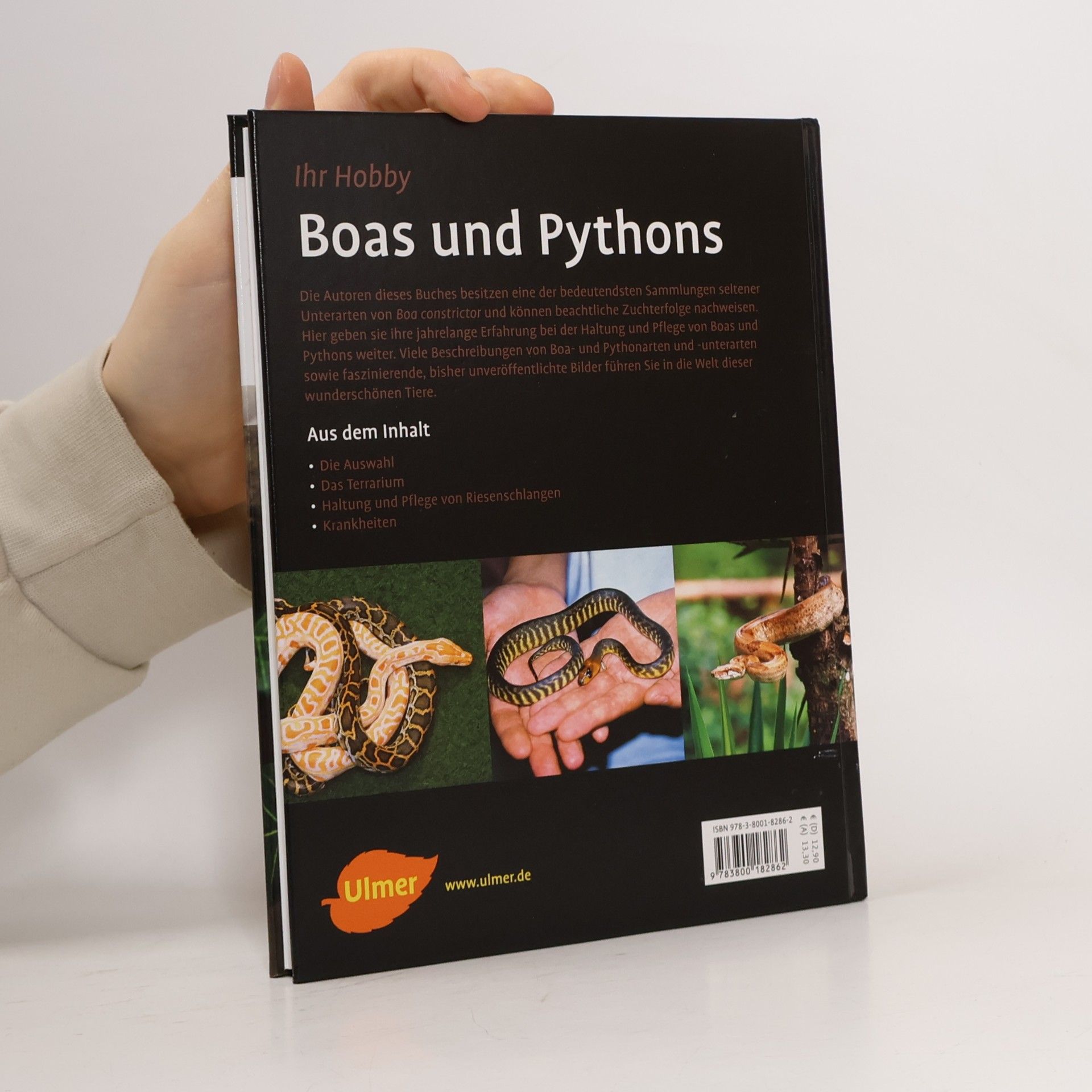 Hermann Stöckl Boas und Pythons
