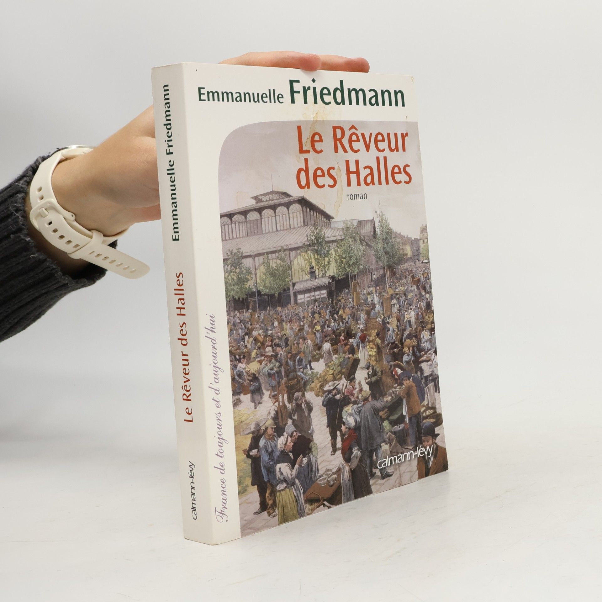 Emmanuelle Friedmann Le Rêveur des halles