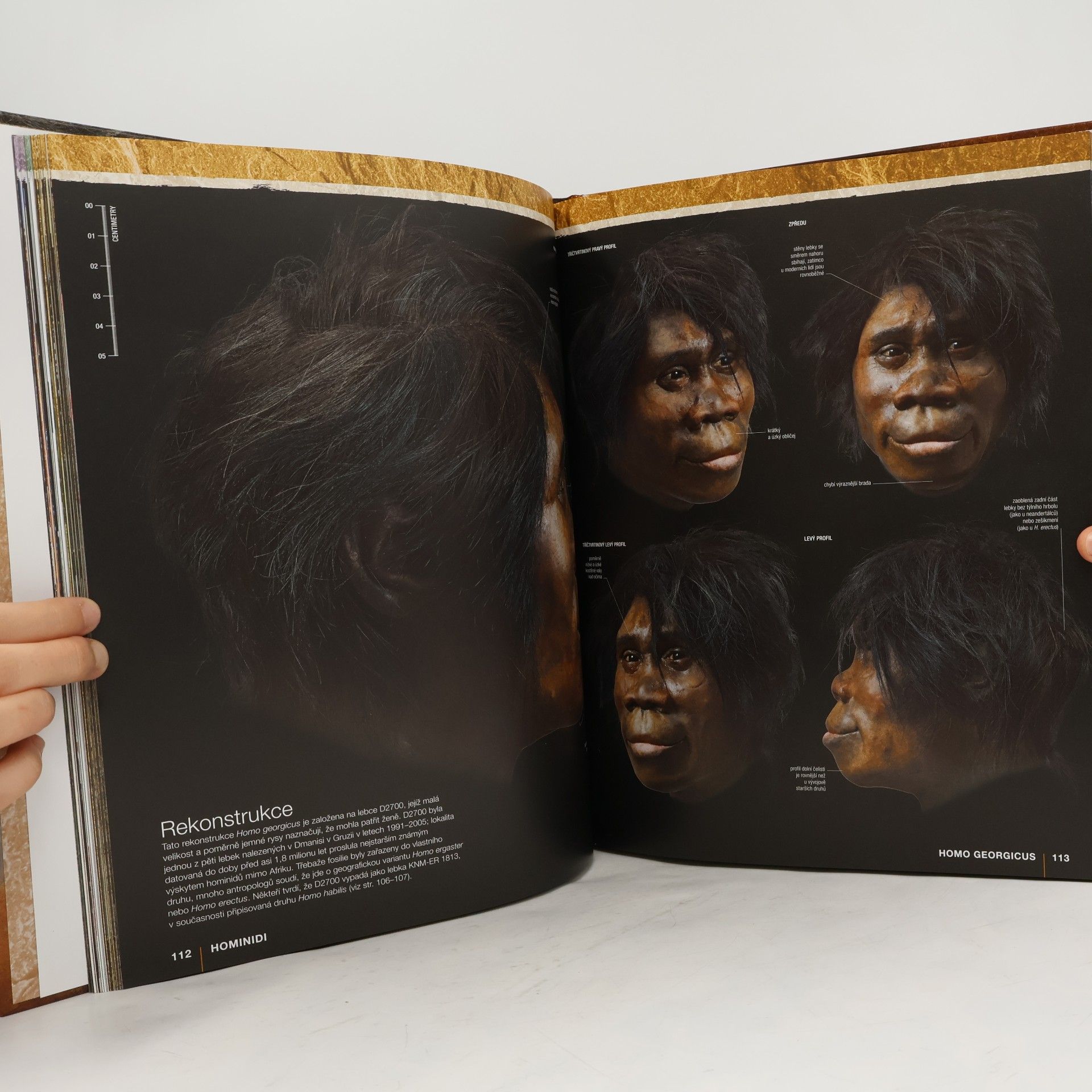 Alice Roberts Evoluce. Příběh člověka
