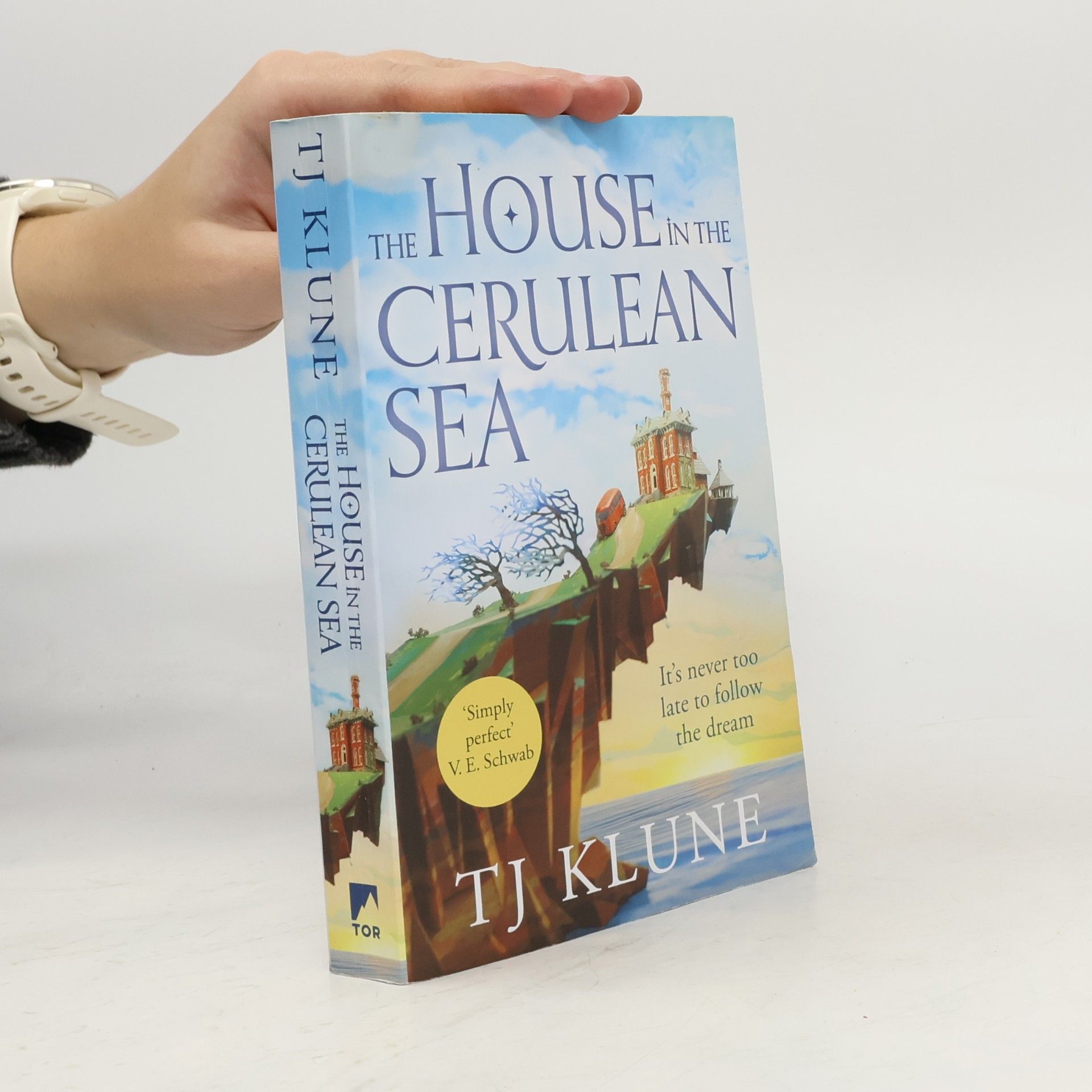 The house in the Cerulean Sea