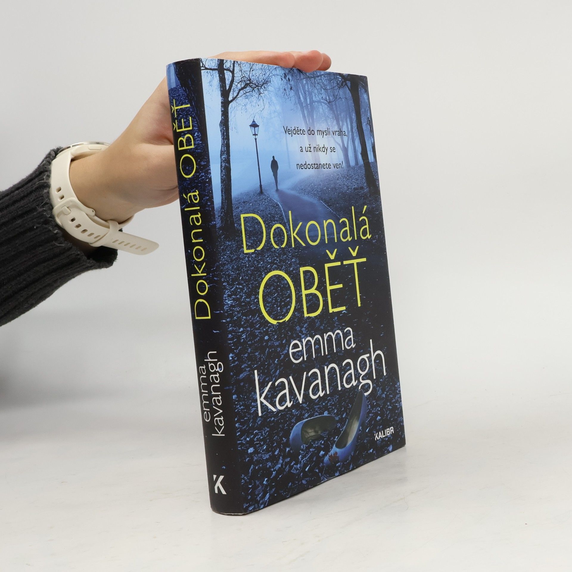 Dokonalá oběť