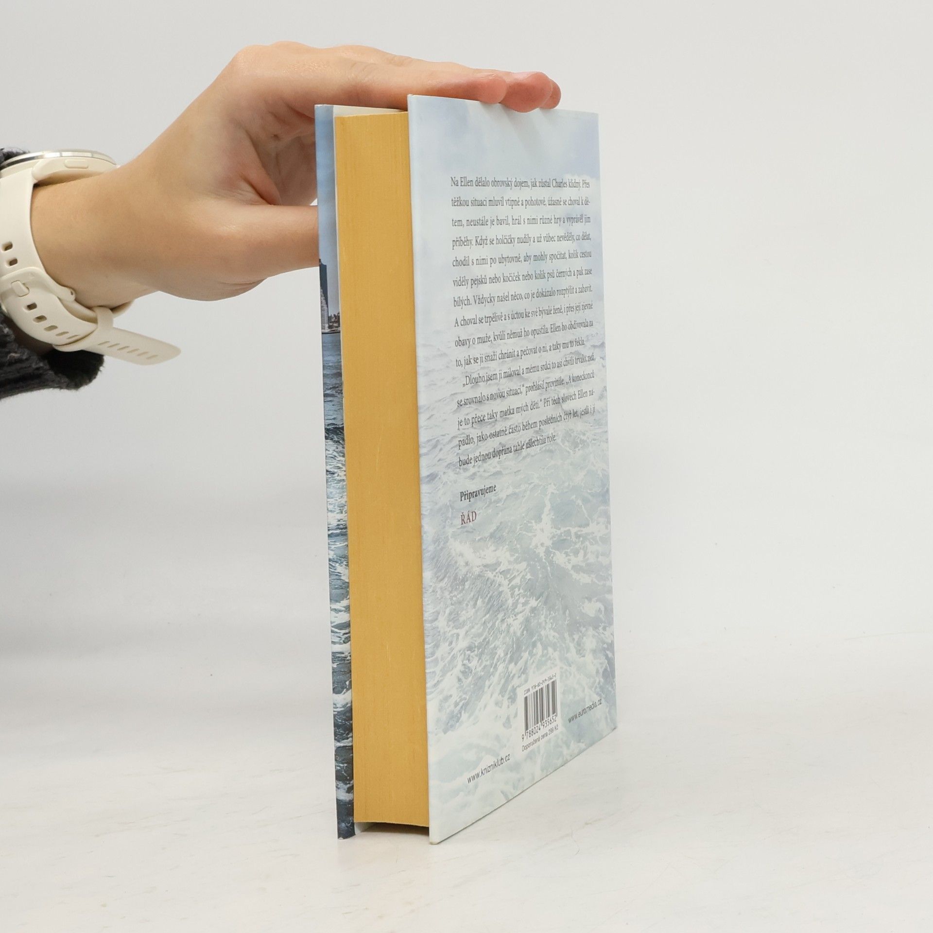 Danielle Steel Rozbouřené vody