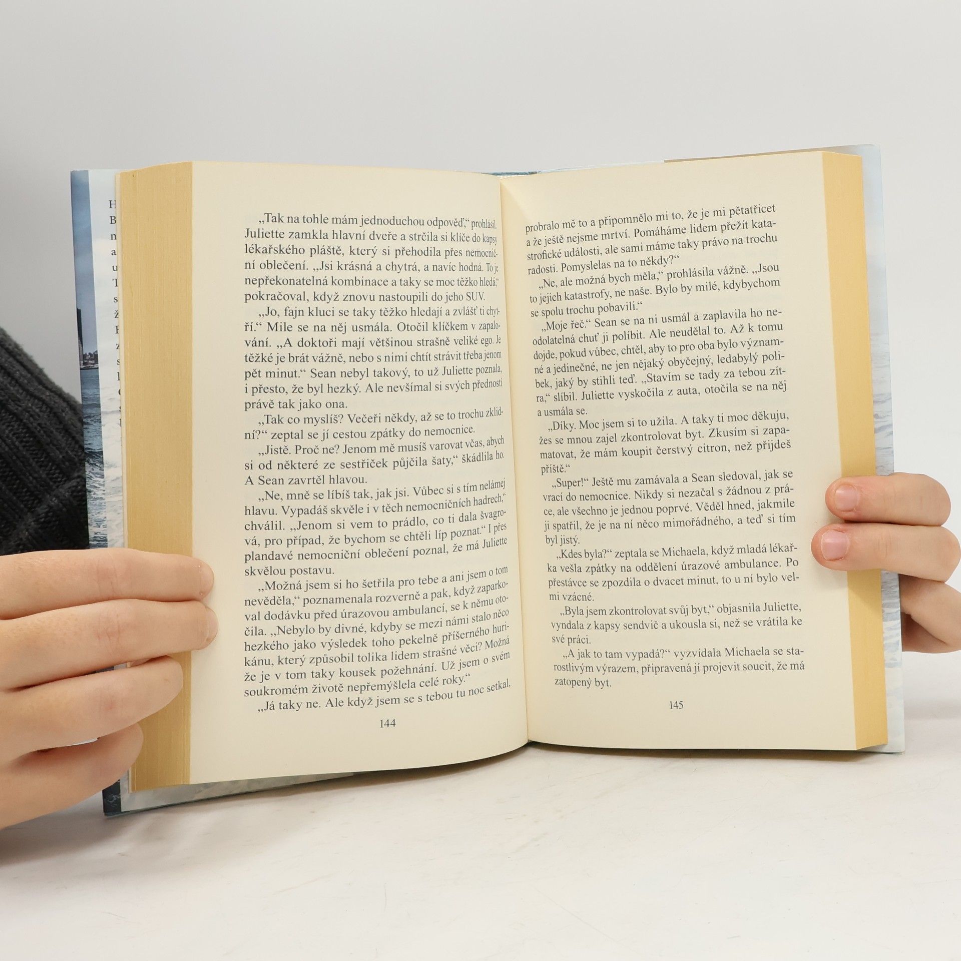 Danielle Steel Rozbouřené vody