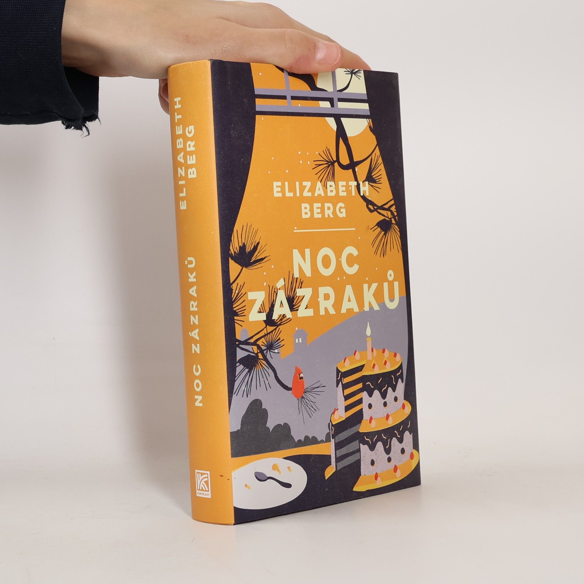 Elizabeth Berg Noc zázraků
