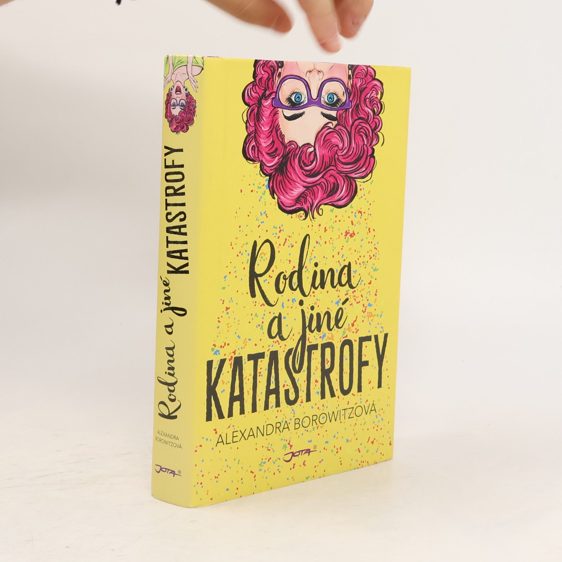 Rodina a jiné katastrofy