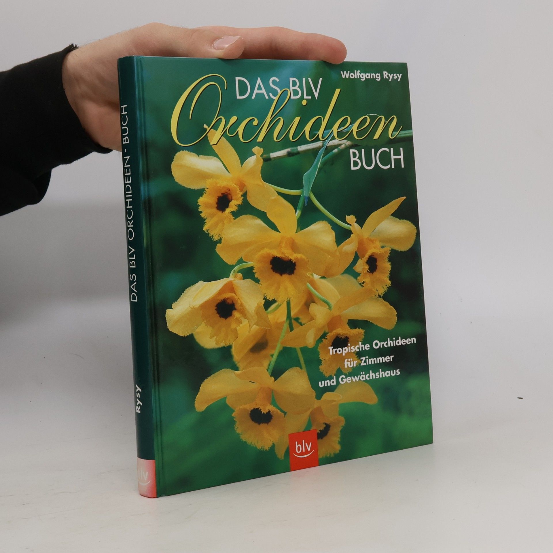 Orchideen