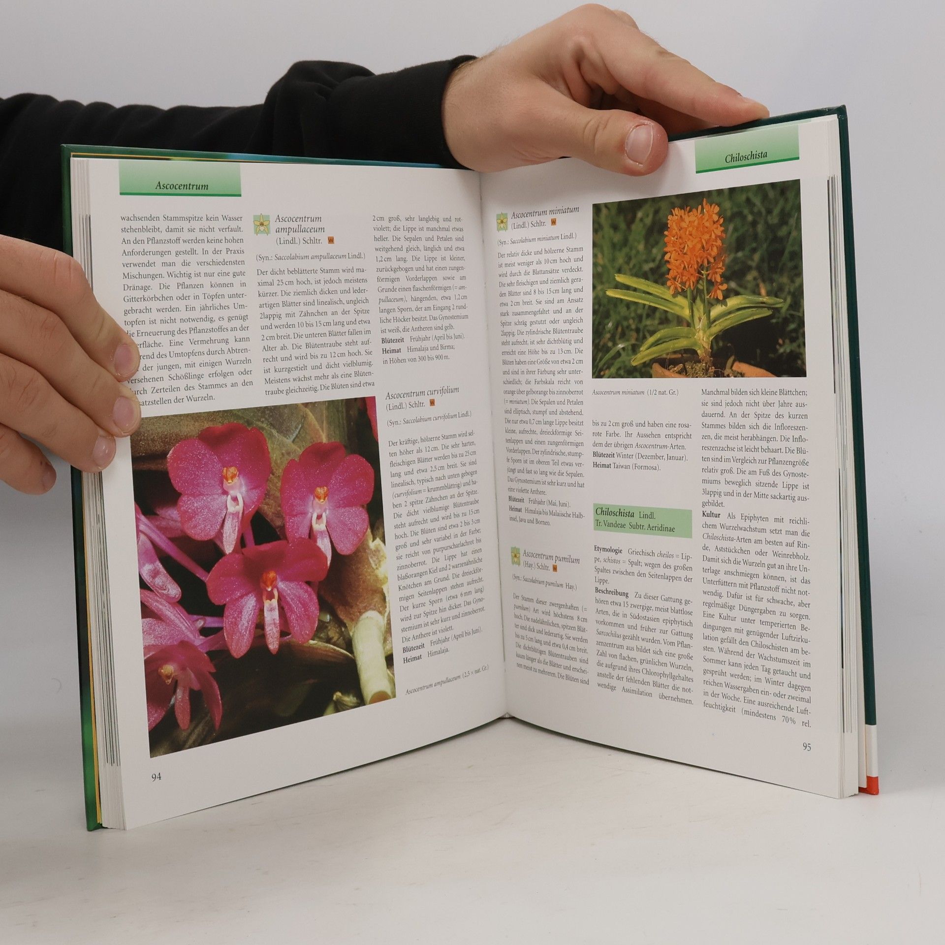 Wolfgang Rysy Orchideen
