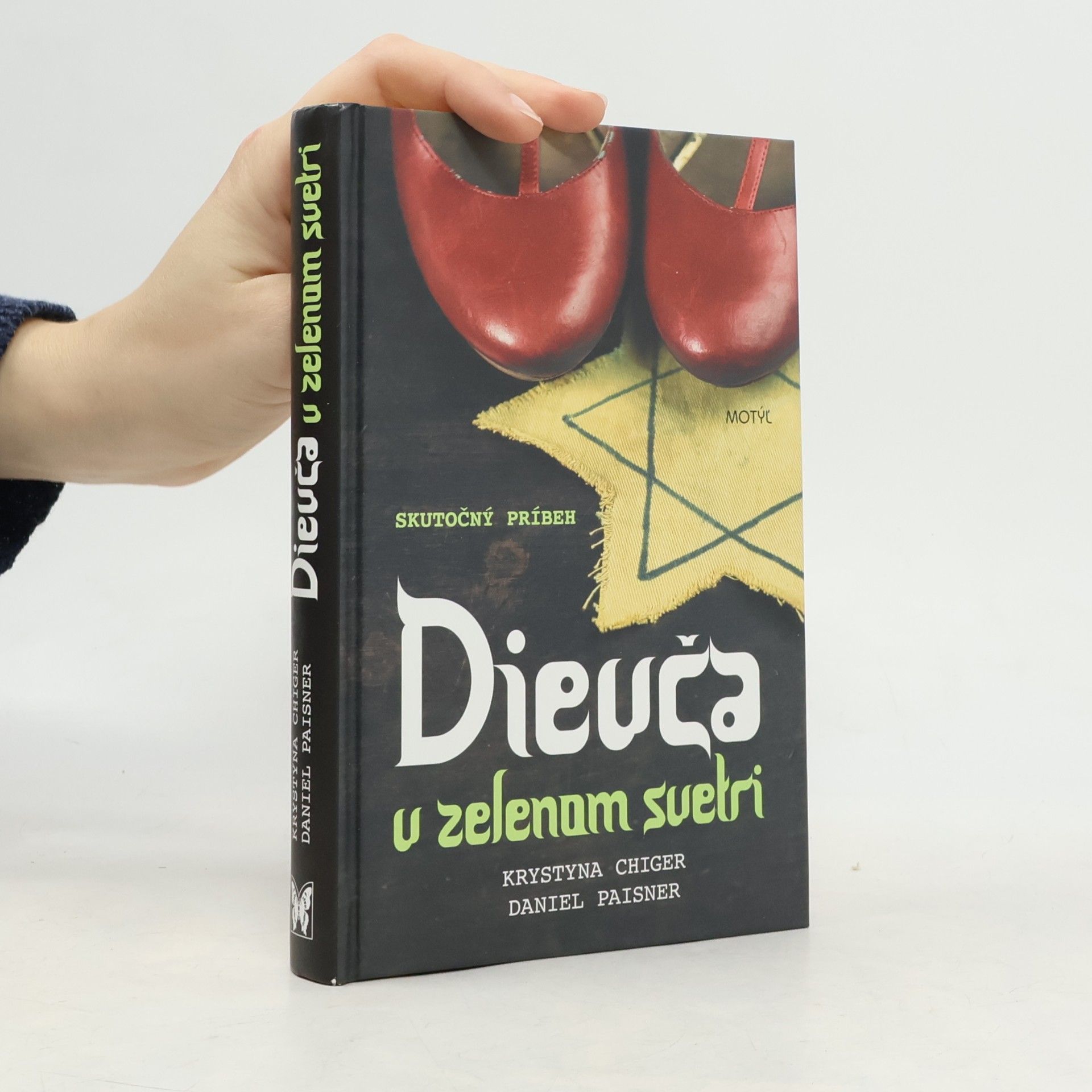 Daniel Paisner Dievča v zelenom svetri