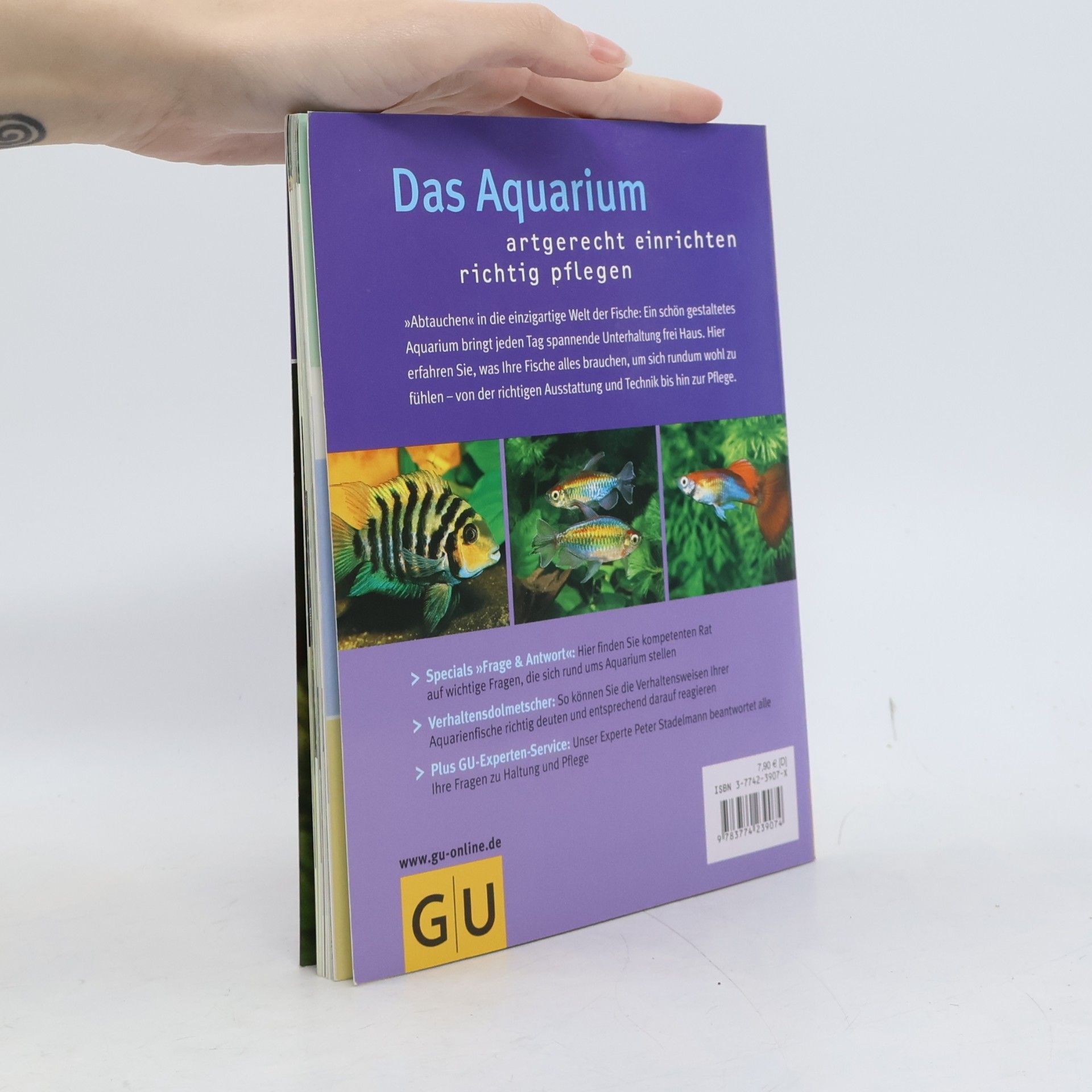 Peter Stademann Das Aquarium