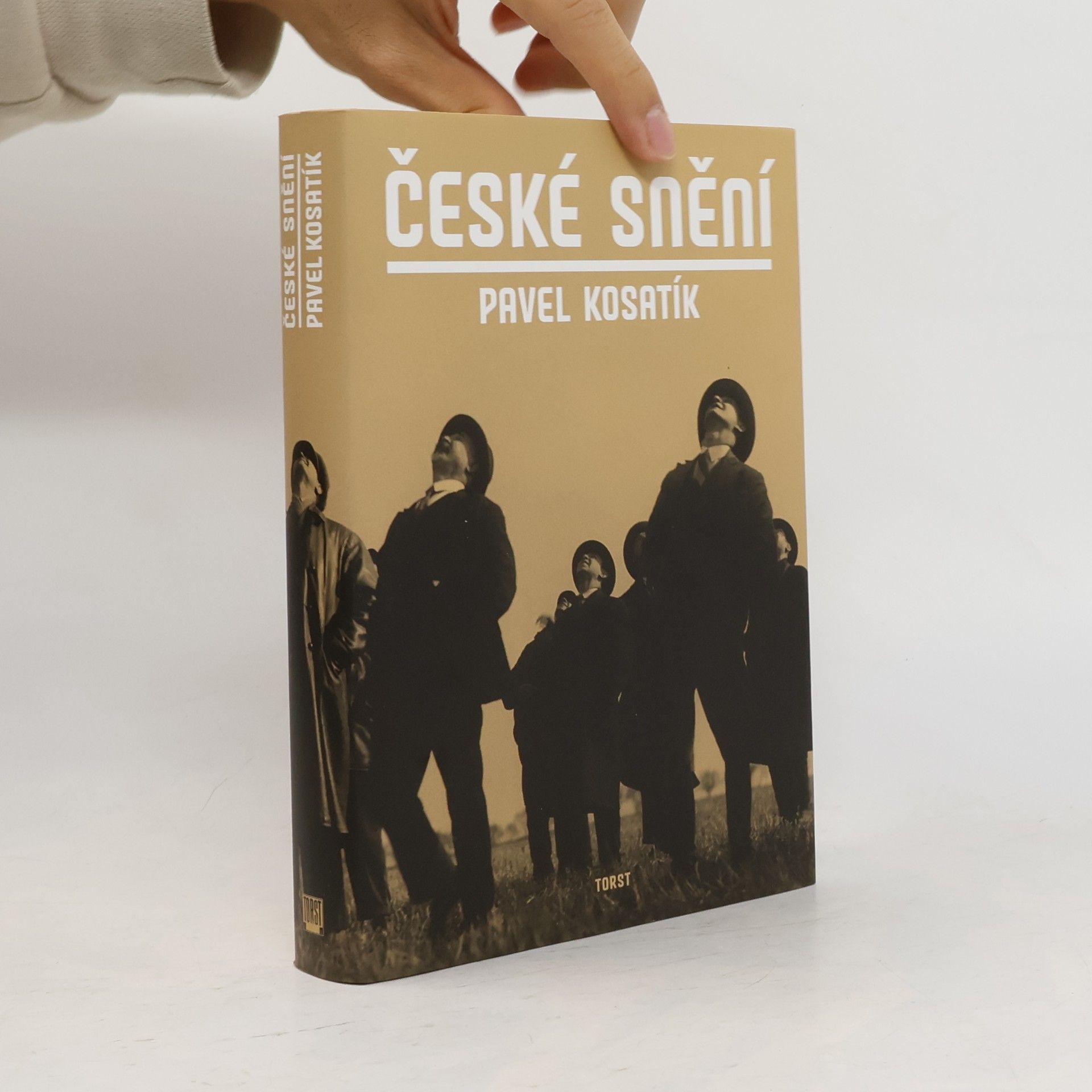 Pavel Kosatík České snění