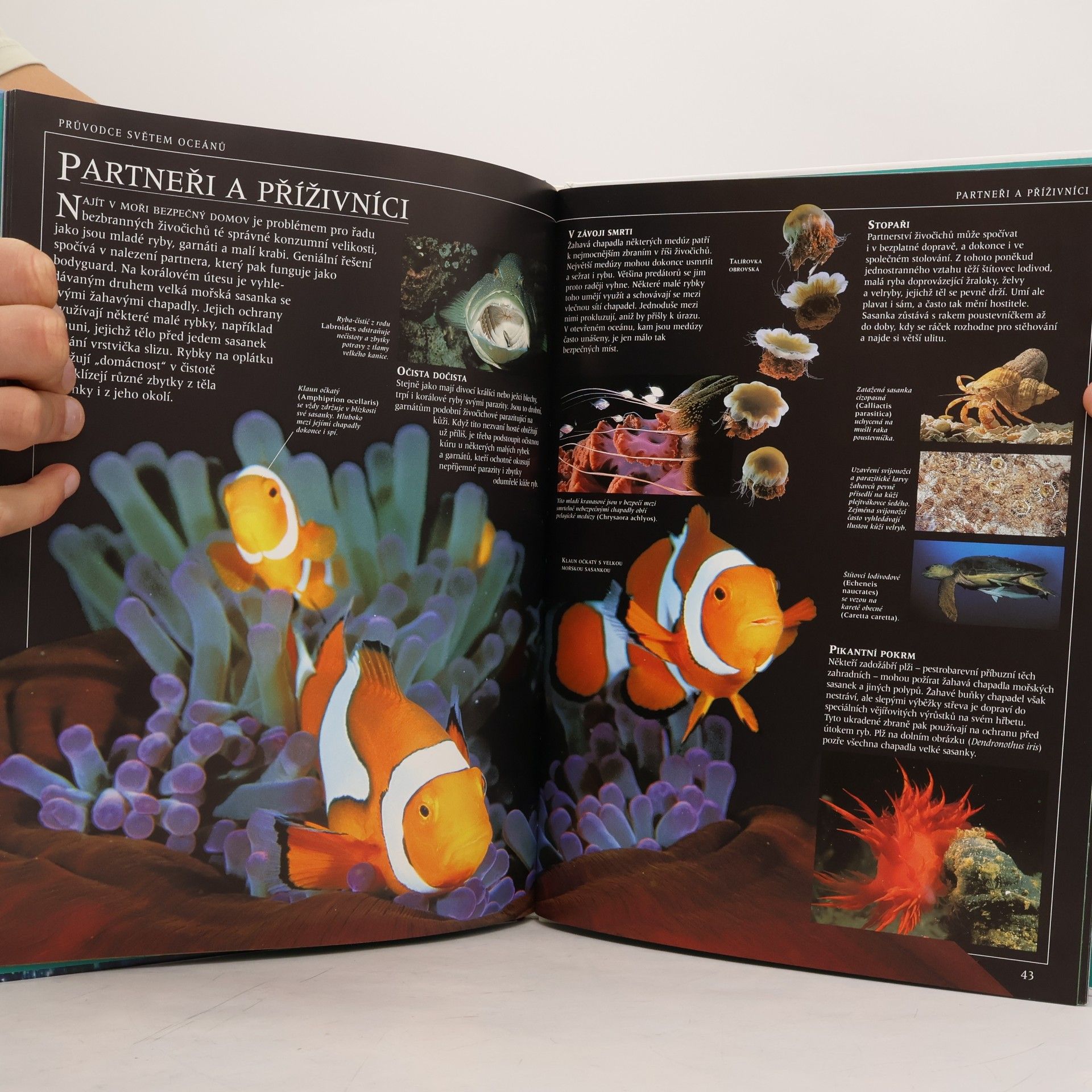 Frances Dipper Průvodce světem oceánů