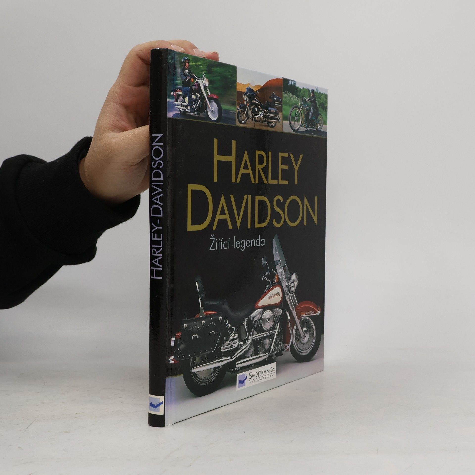 Johnny Leyla Žijící legenda. Dějiny značky Harley-Davidson