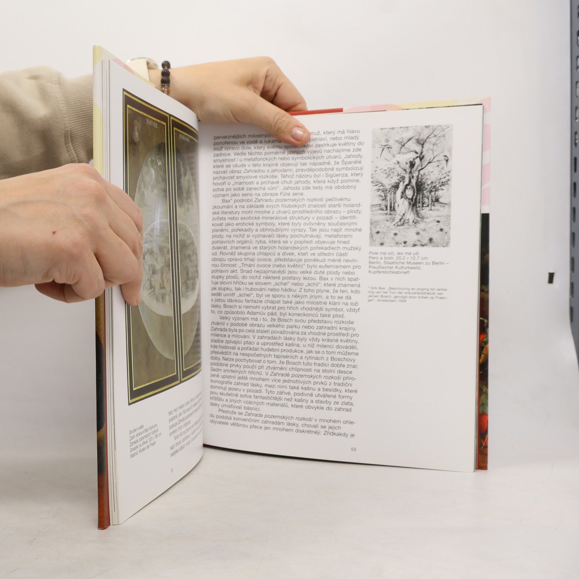 Walter Bosing Hieronymus Bosch: Kolem 1450-1516 : Mezi nebem a peklem
