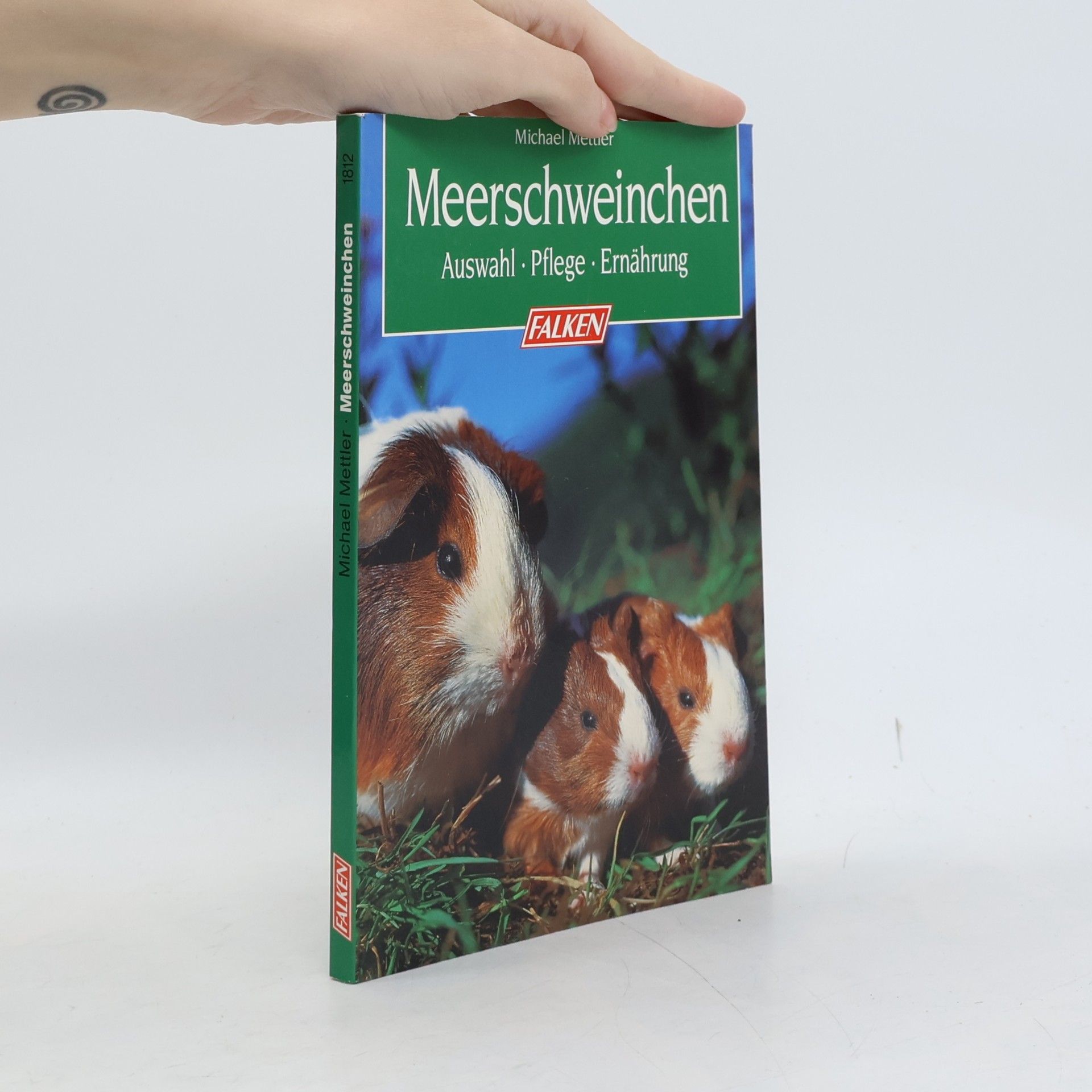 Meerschweinchen