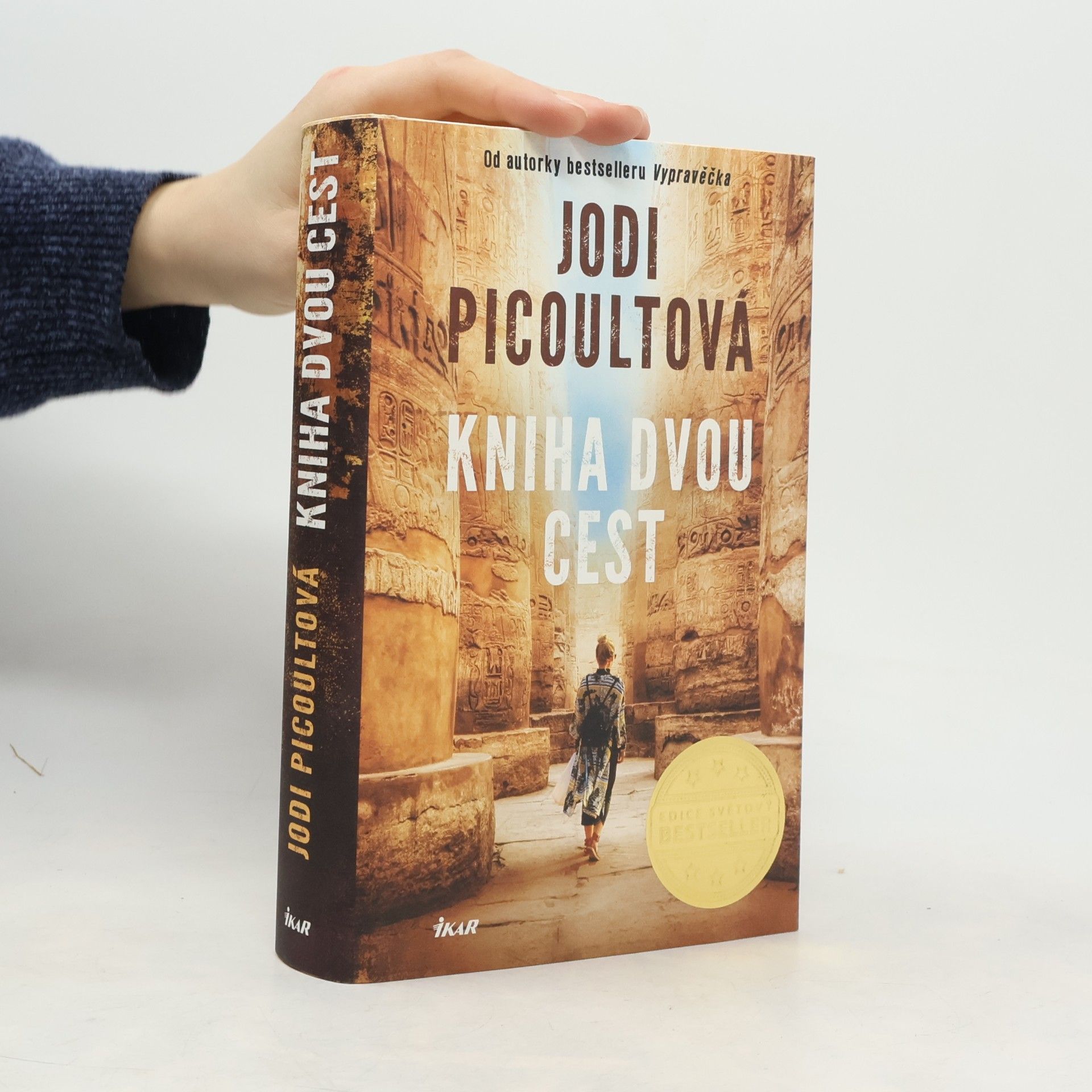 Jodi Picoult Kniha dvou cest