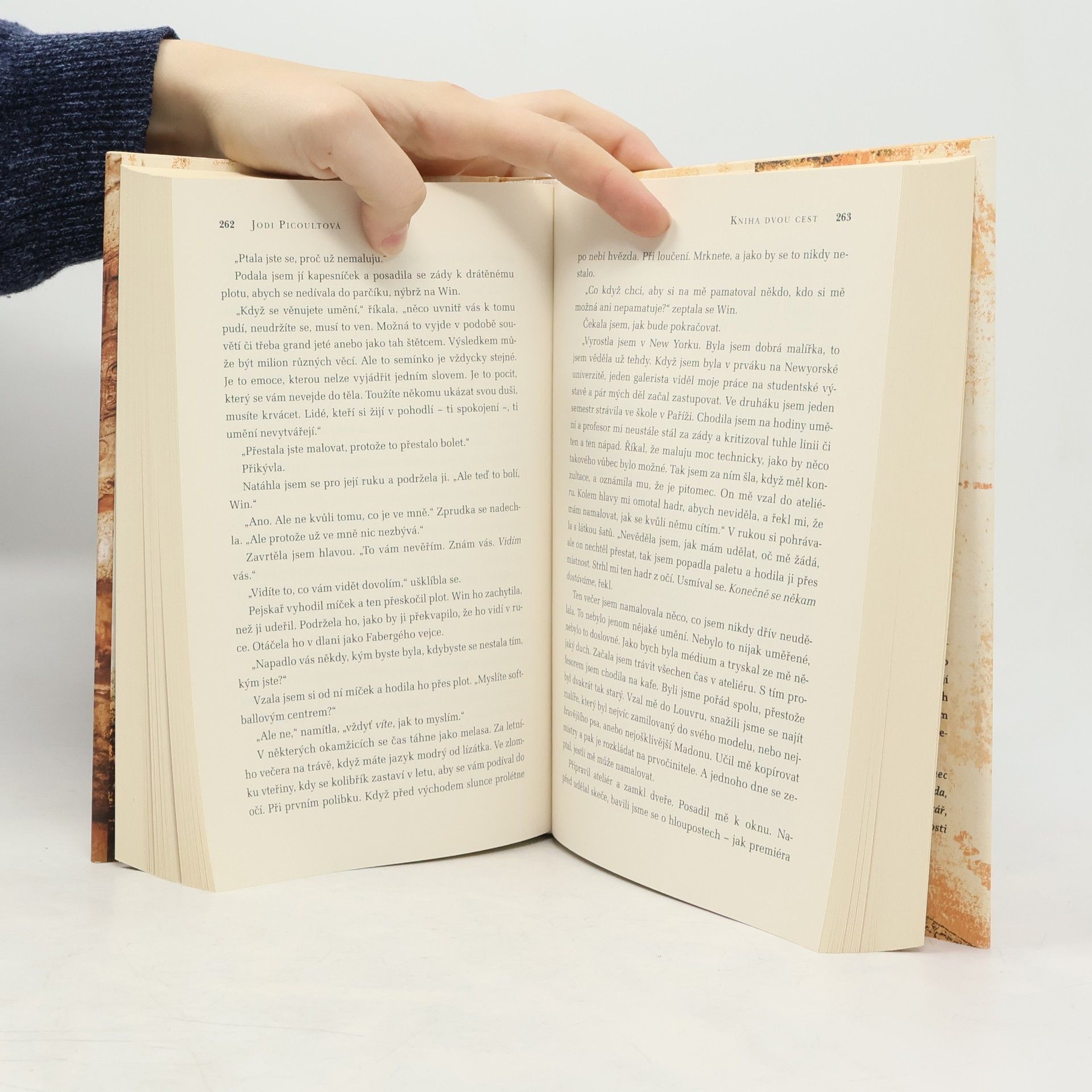 Jodi Picoult Kniha dvou cest