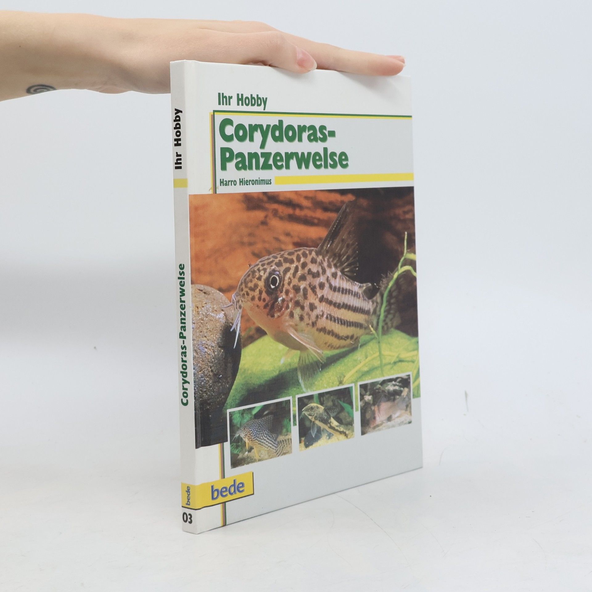 Corydoras - Panzerwelse