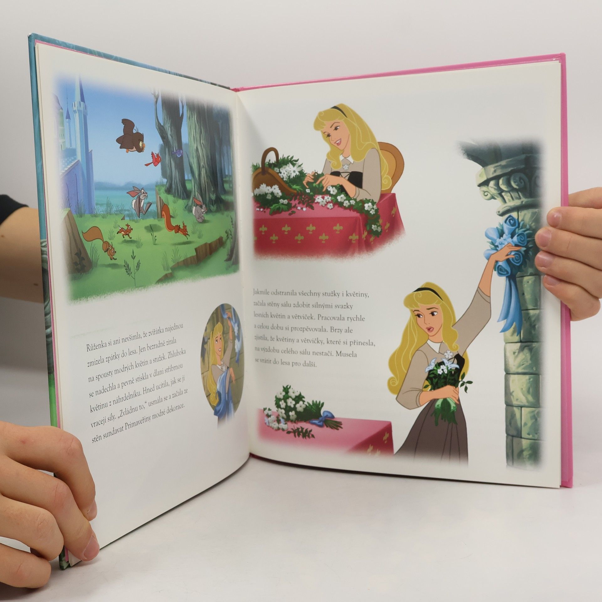 Walt Disney Šípková Růženka a čarovná květina