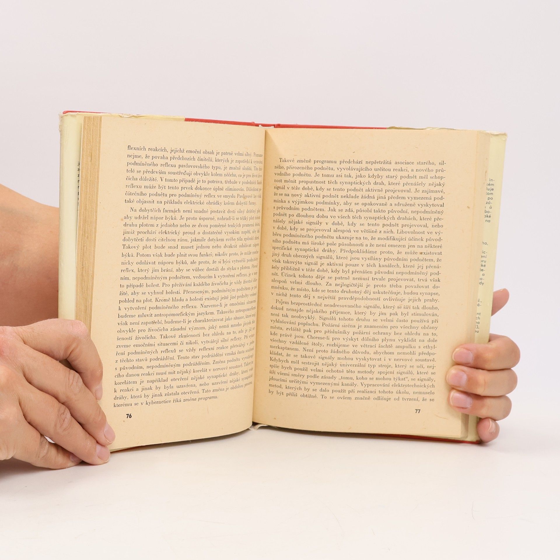 Norbert Wiener Kybernetika a společnost