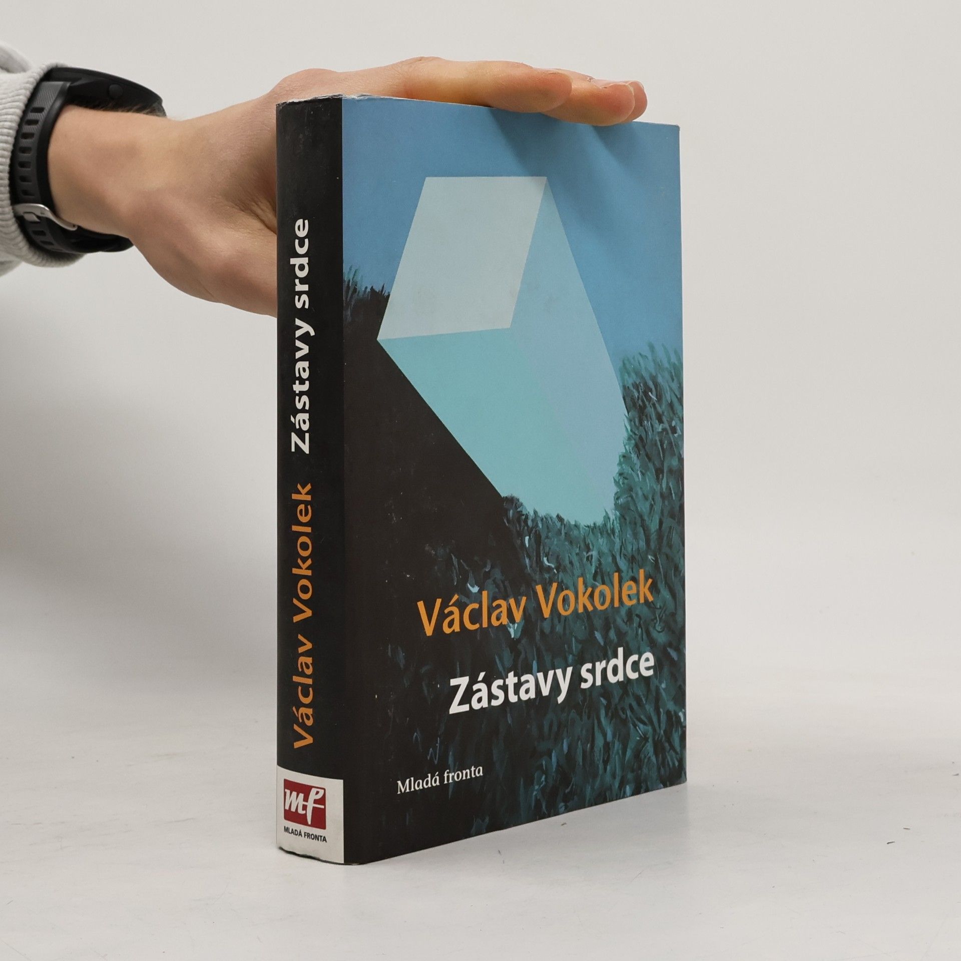 Zástavy srdce