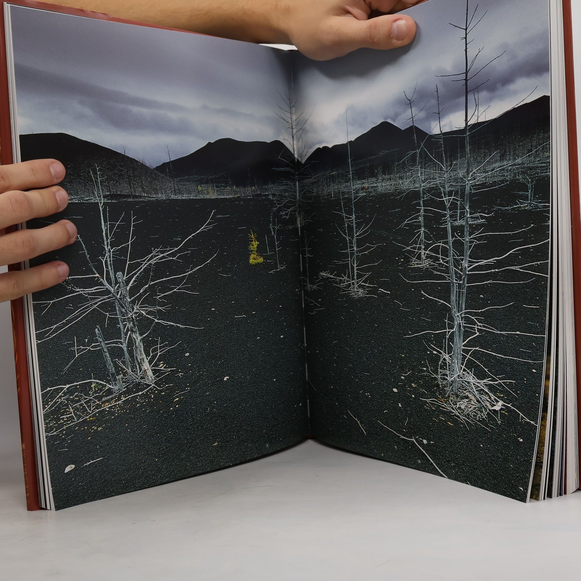 Olivier Grunewald Natur