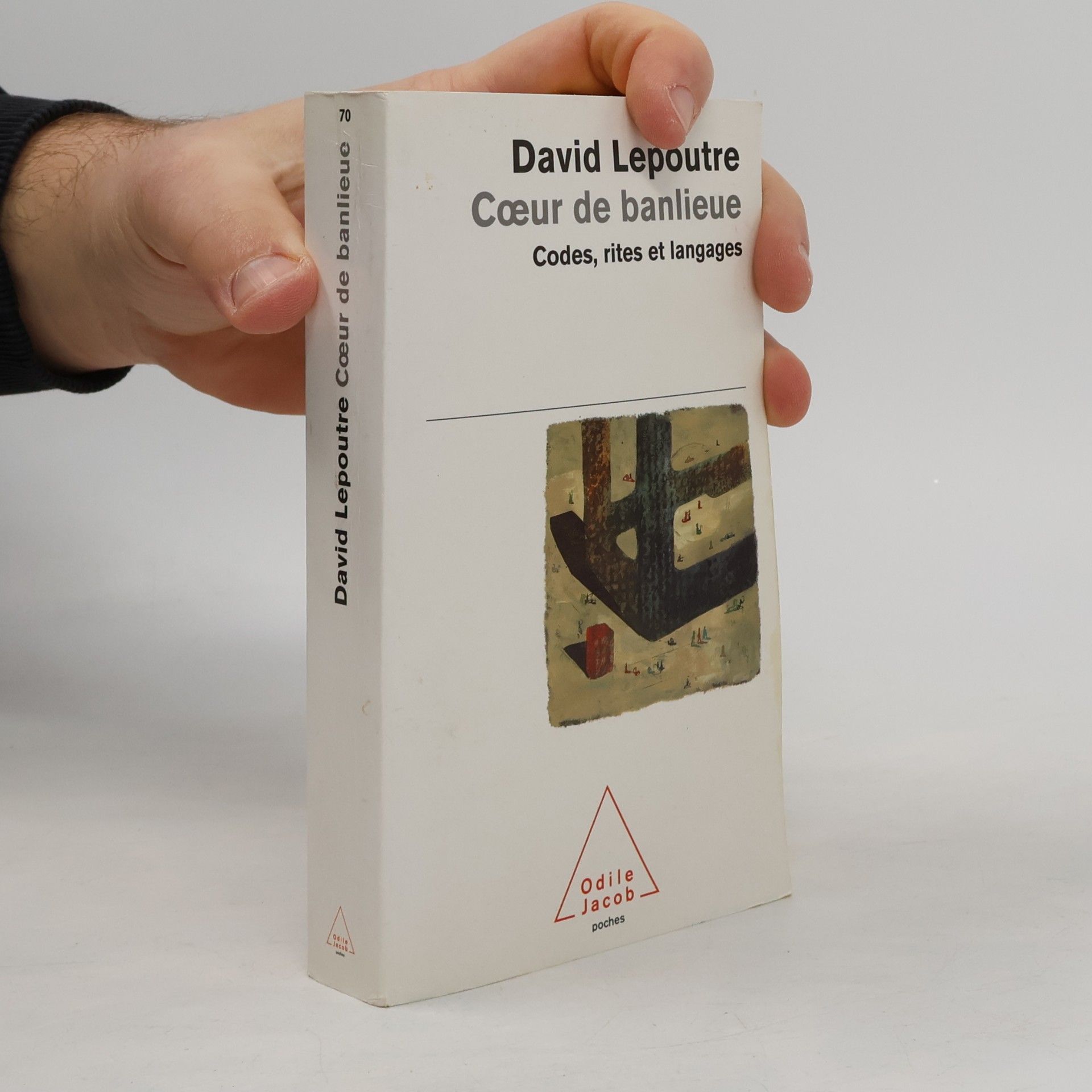 Cœur de banlieue. Codes, rites et langages