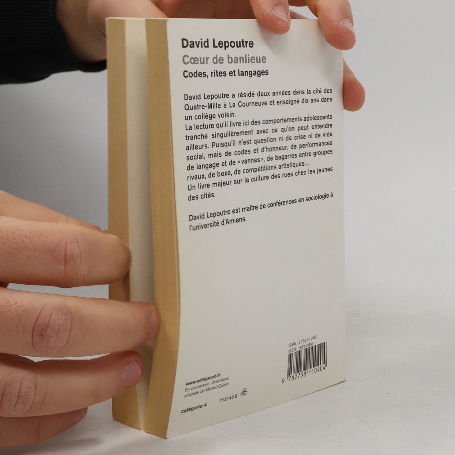 David Lepoutre Cœur de banlieue. Codes, rites et langages