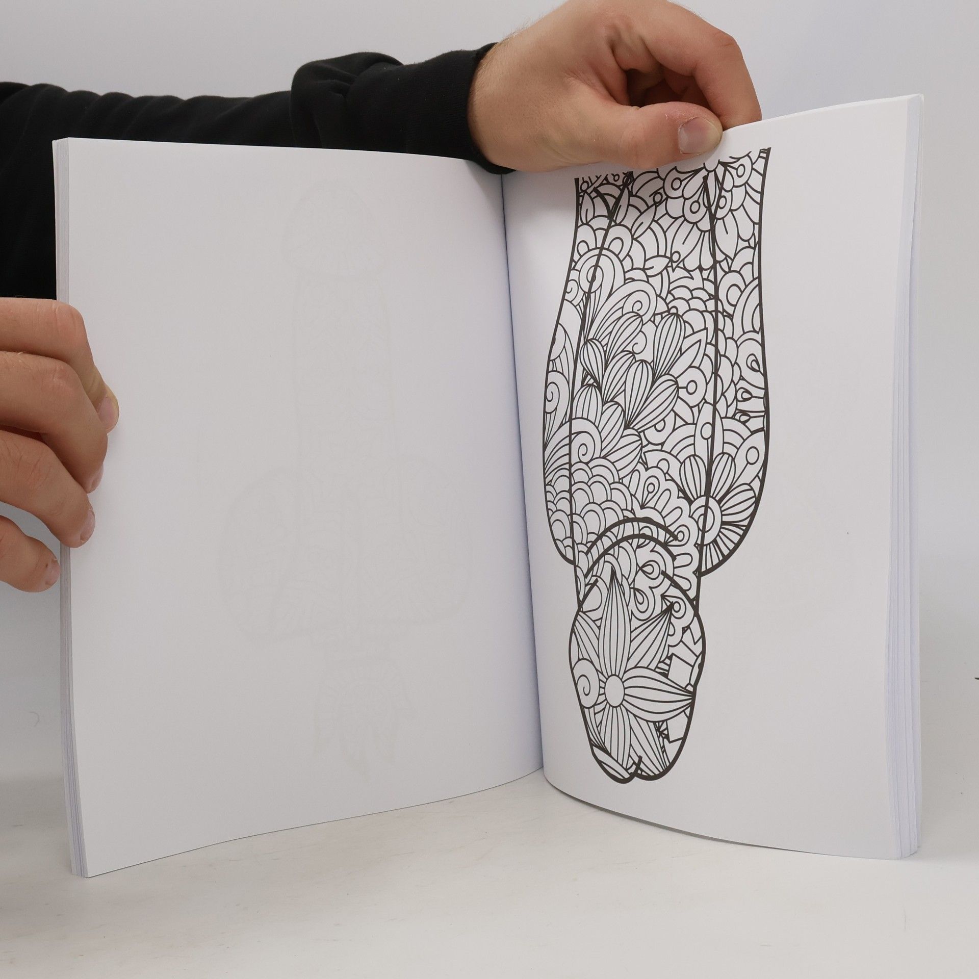 Tomáš Horych DickObraz : omalovánky pro dospělé = the adult coloring book full of dicks