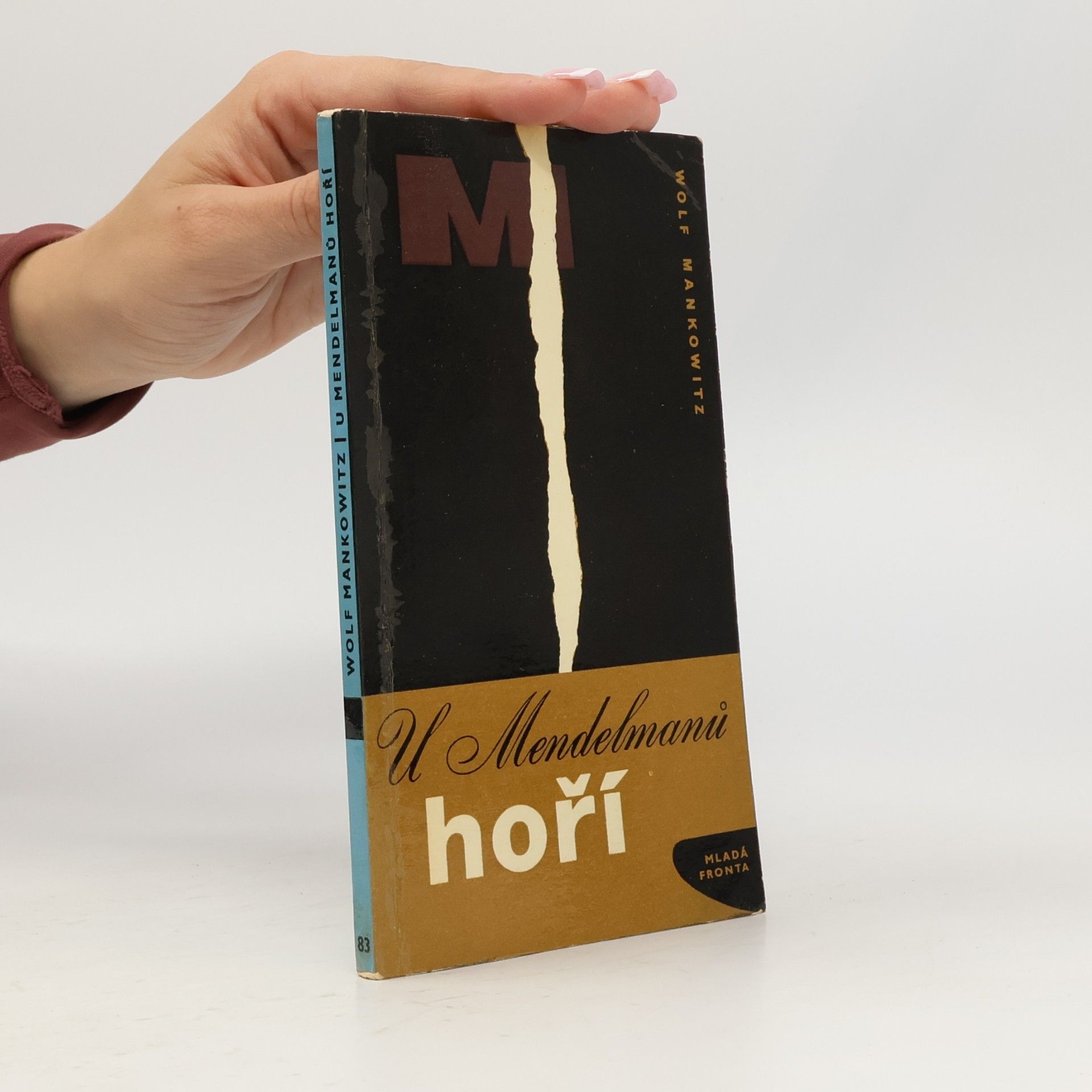 U Mendelmanů hoří