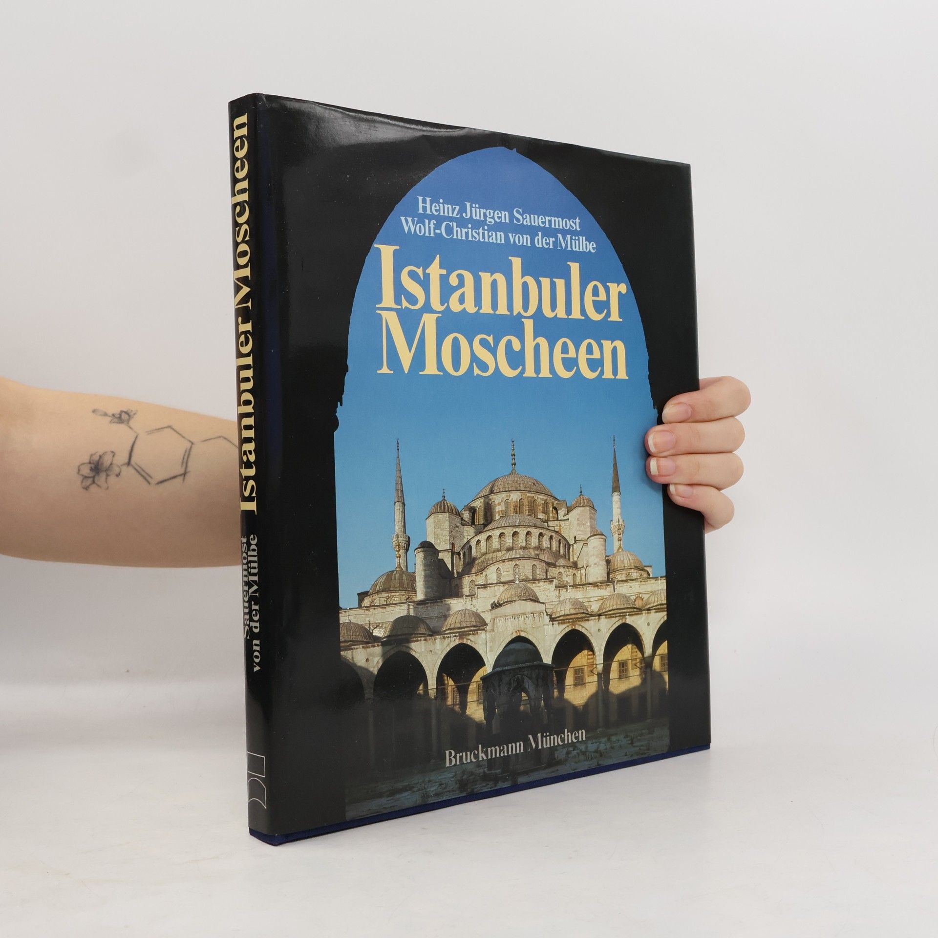 Heinz Jürgen Sauermost Istanbuler Moscheen