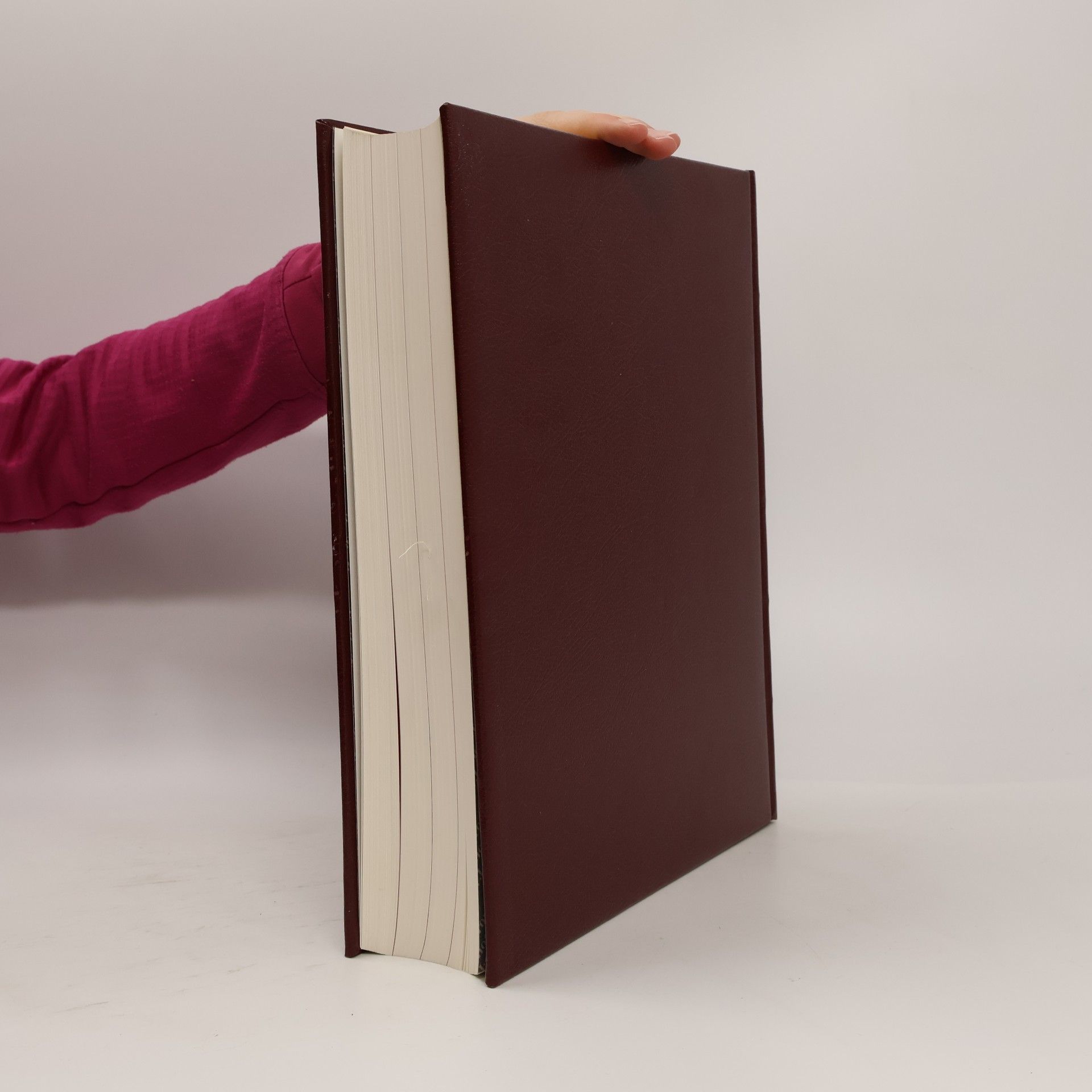 Autorenkollektiv Chronik Bibliothek des 20. Jahrhunderts 1984 - 1987