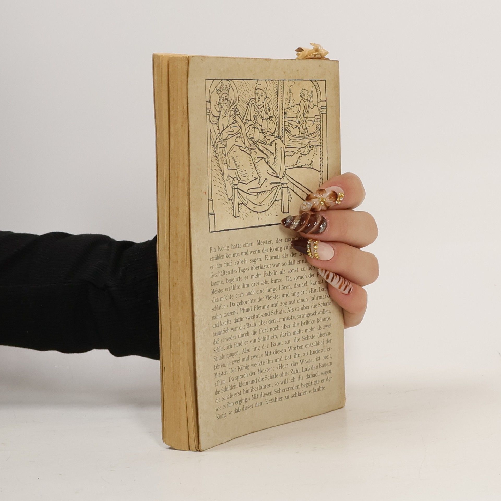 Various authors Schöne Fabeln für jung und alt
