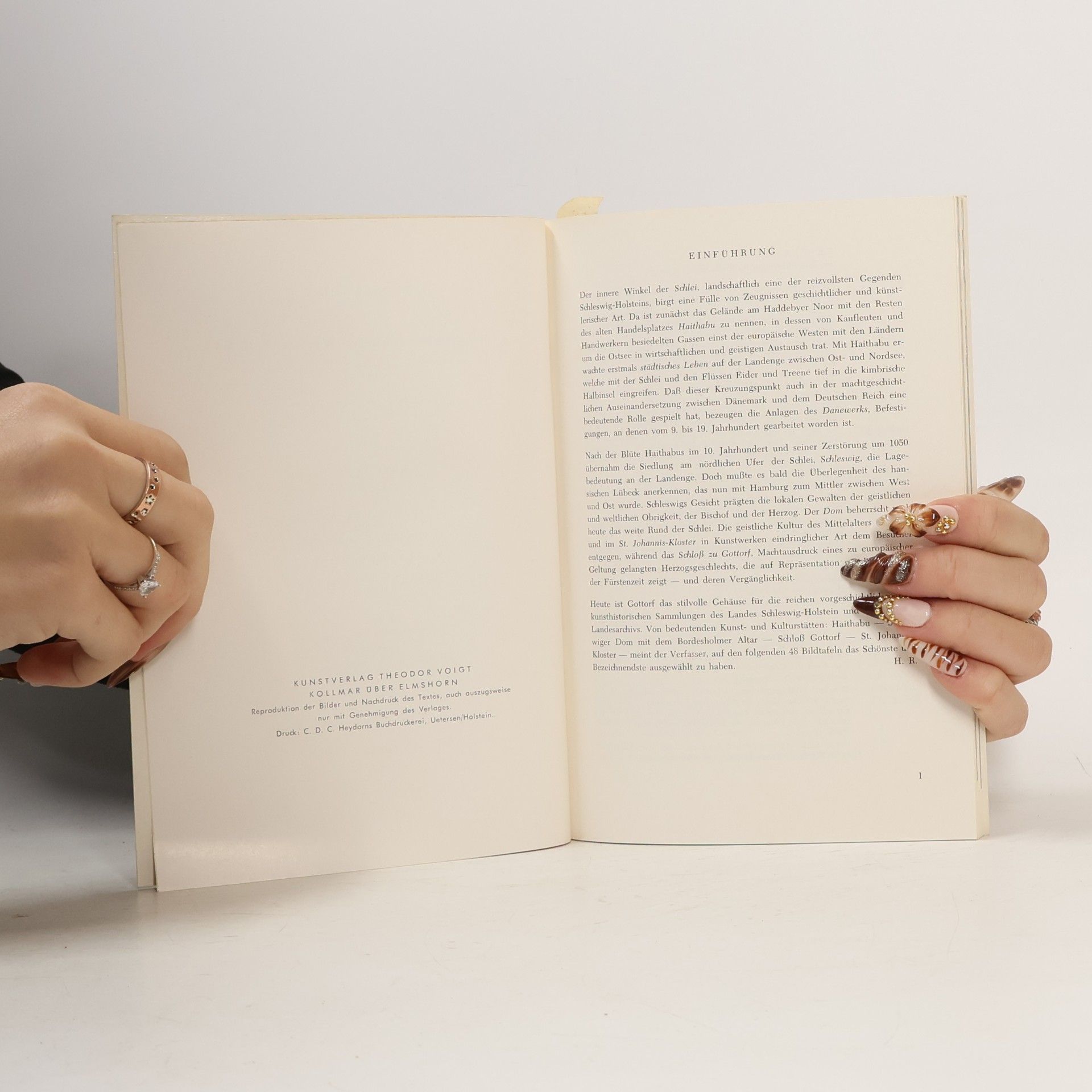 Various authors Schleswig