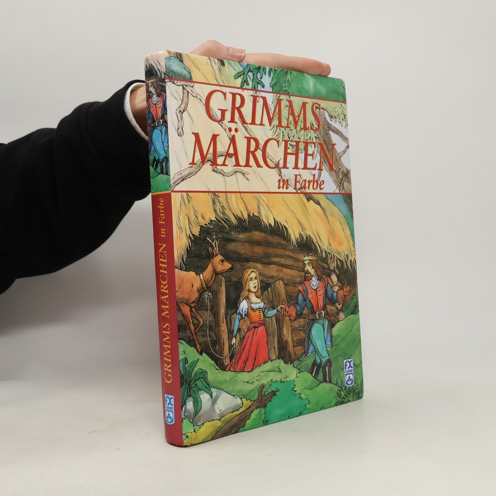 bratři Grimmové Grimms Märchen in Farbe