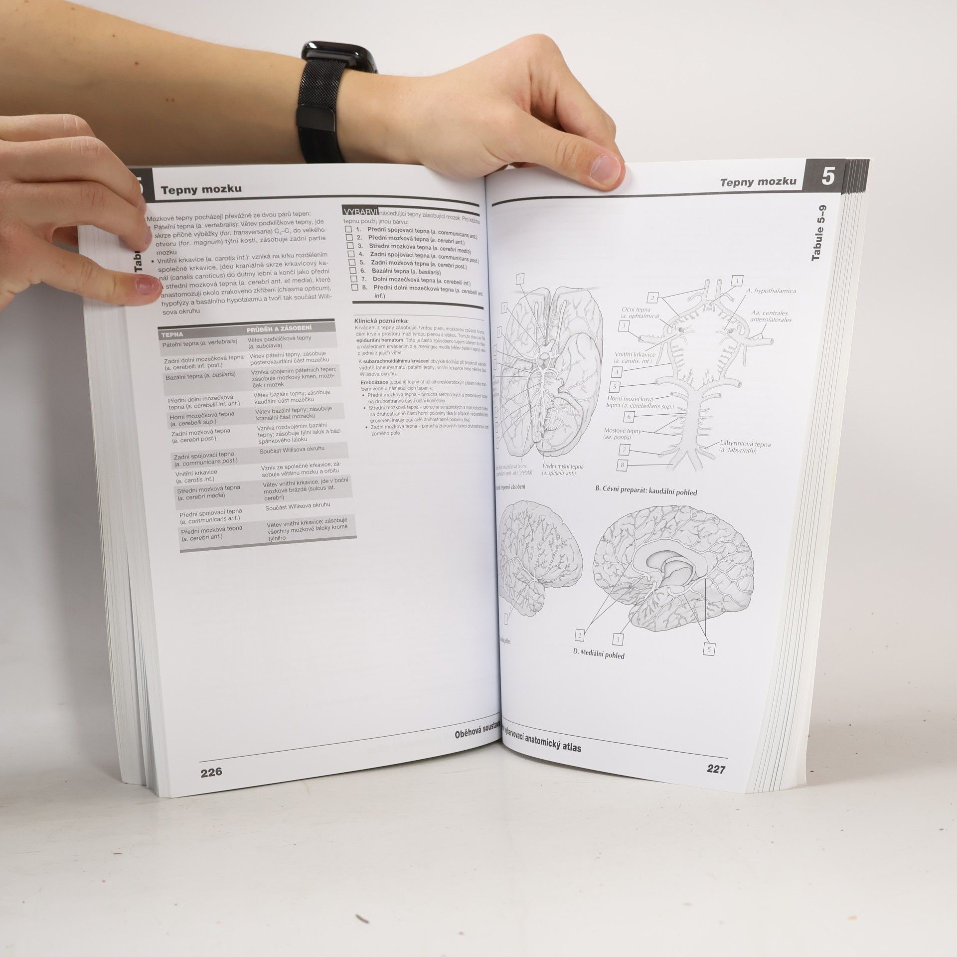 John T. Hansen Netterův vybarvovací anatomický atlas
