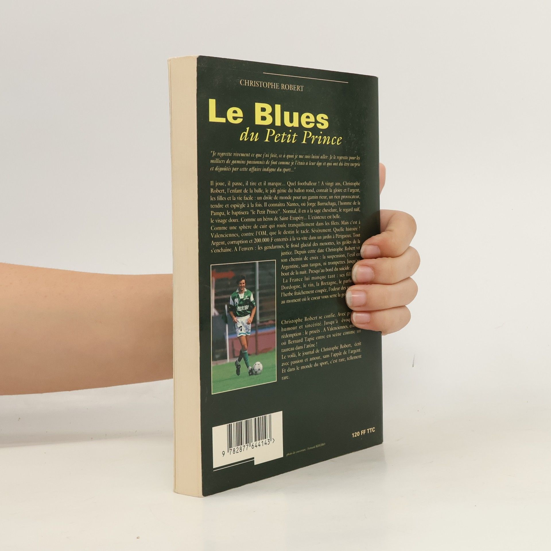 Christophe Robert Le Blues du Petit Prince