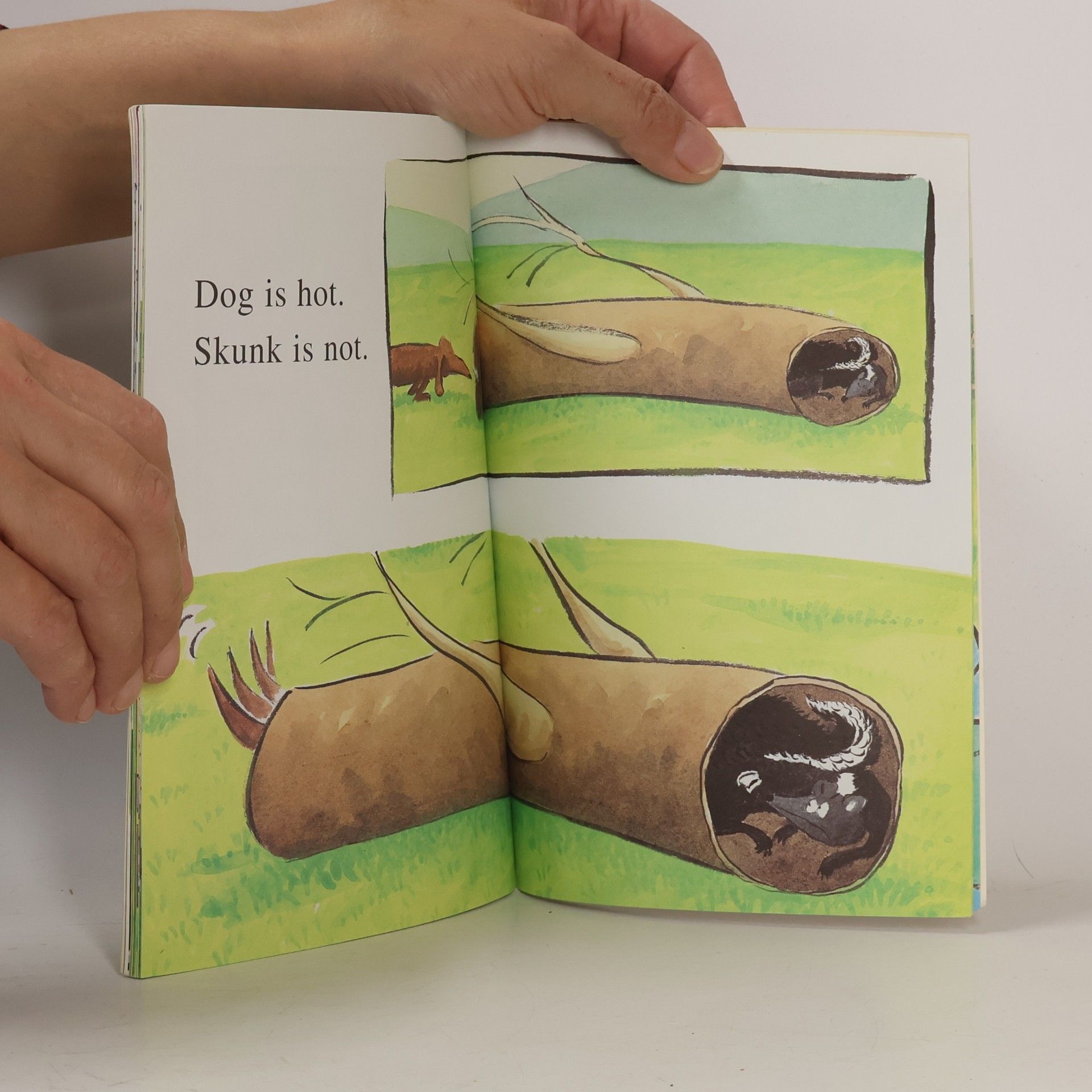 Molly Coxe Step Into Reading - 1: Hot Dog